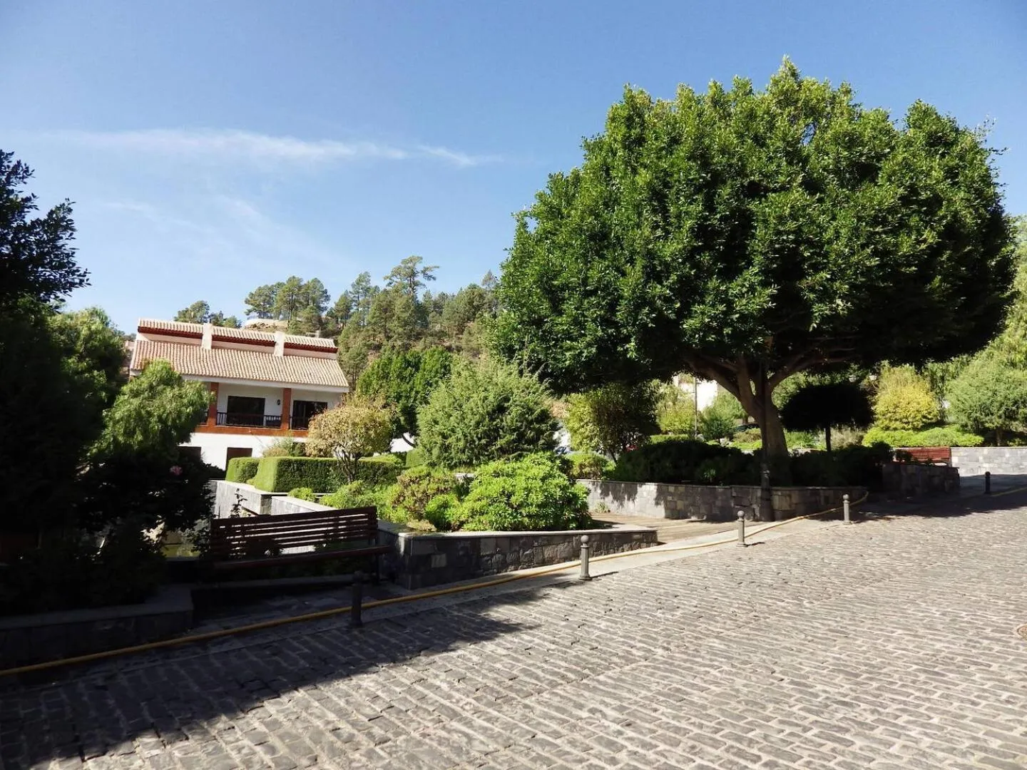 Ziggy's Mountain Retreat