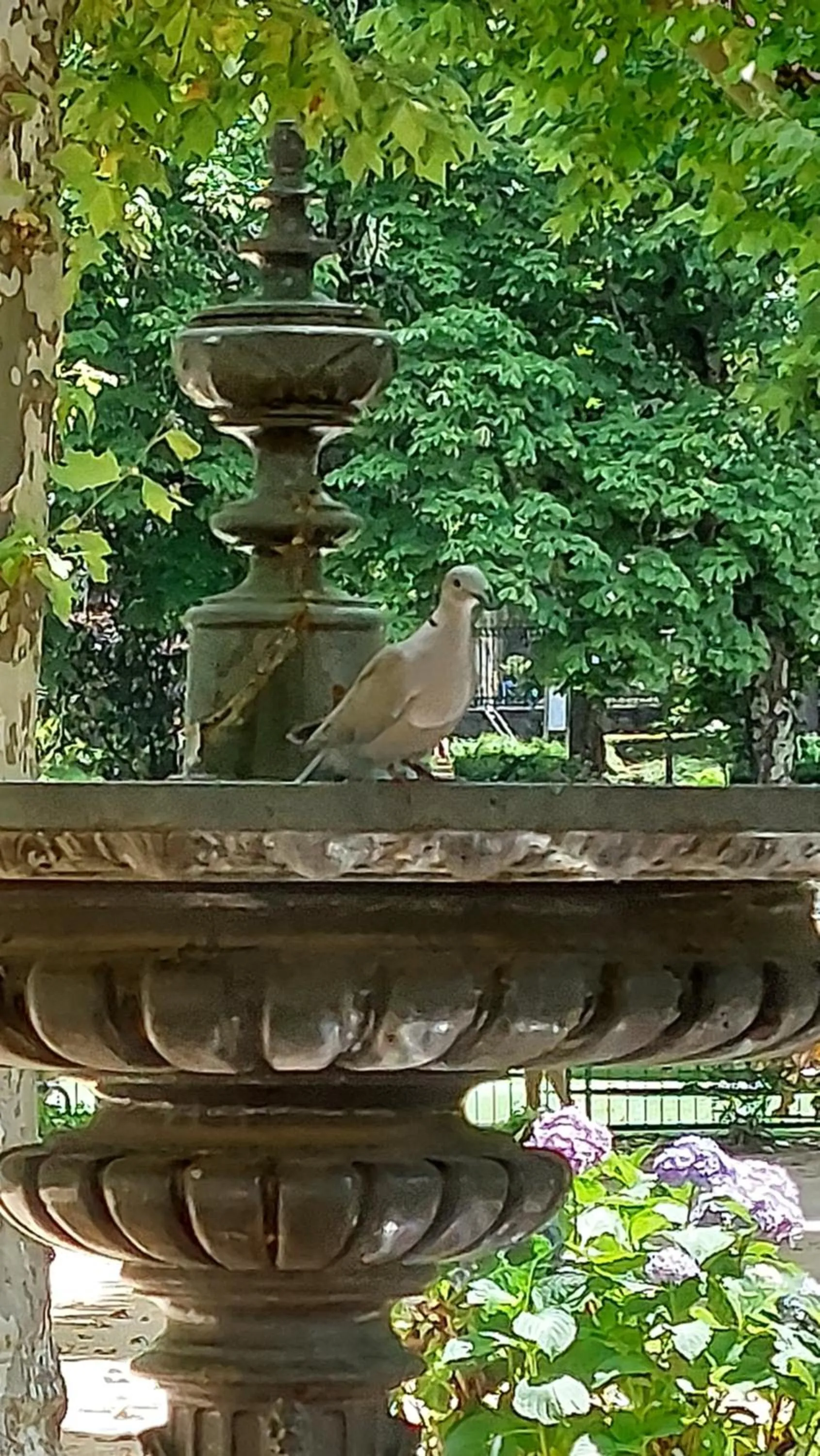 Neighbourhood in Pavillon Kalensa