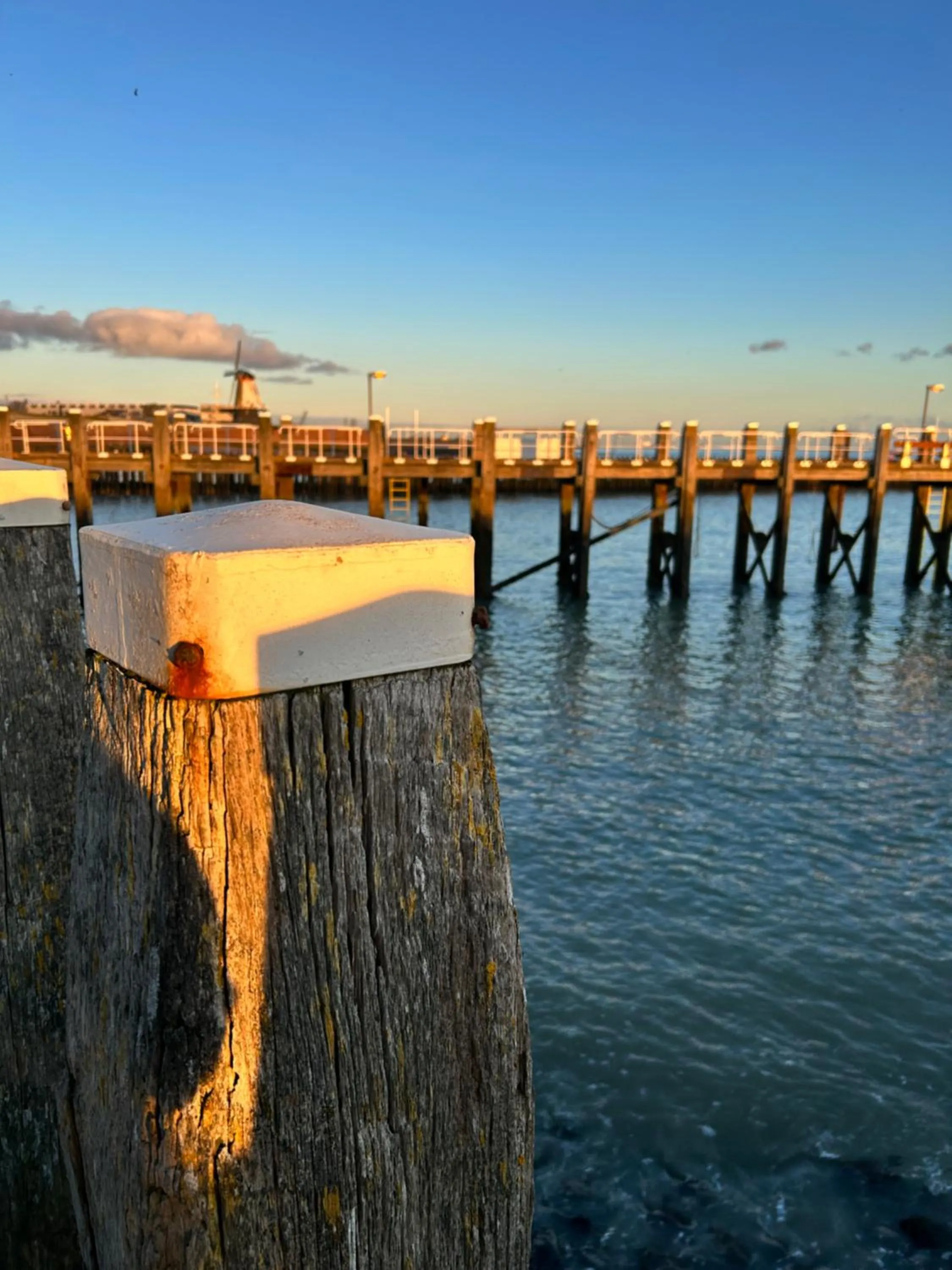 Natural landscape in B&B Zeeuws genoegen