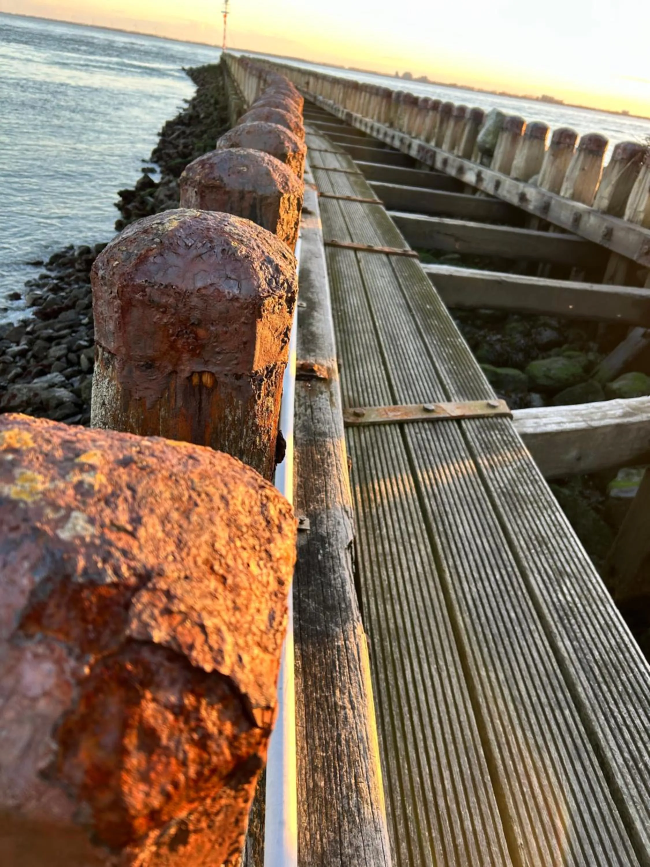 Natural landscape in B&B Zeeuws genoegen