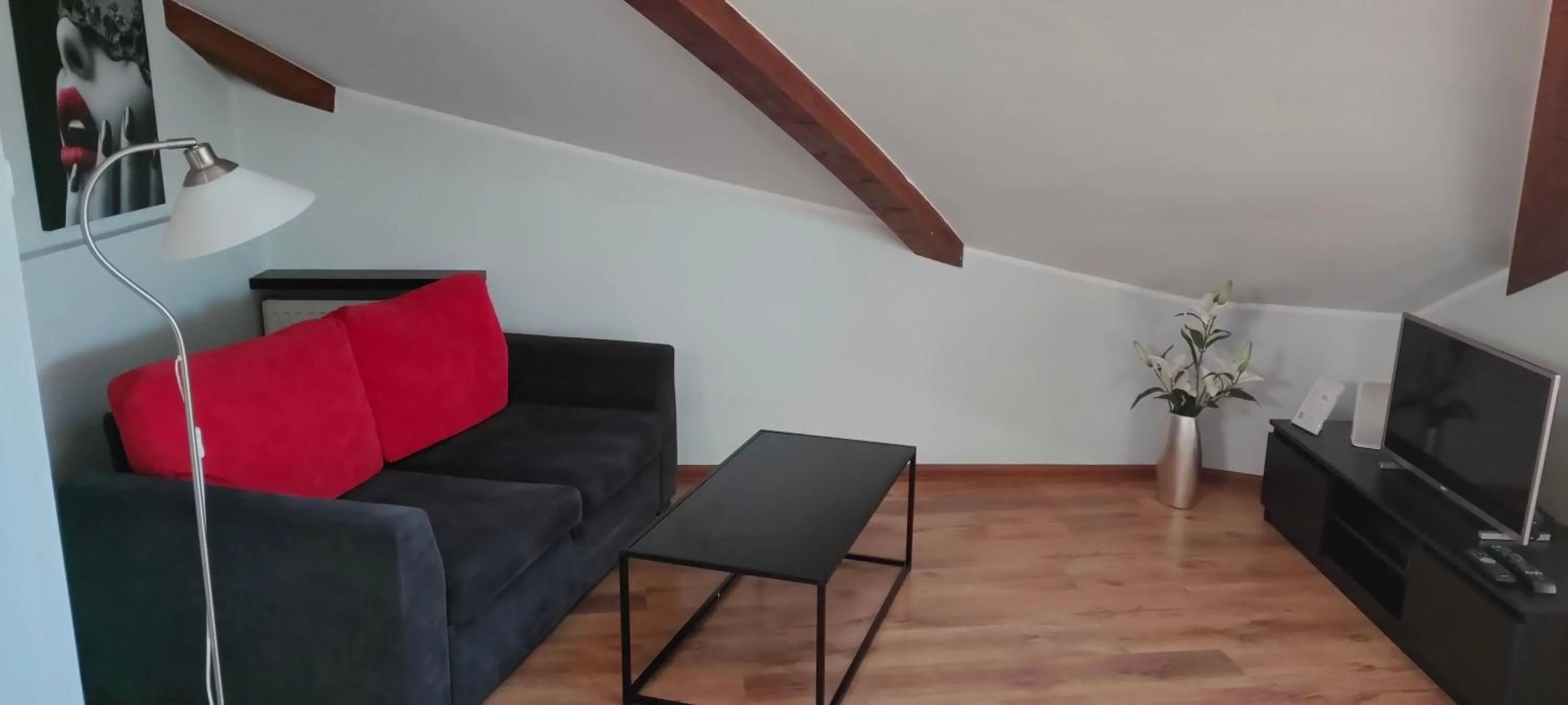 TV and multimedia in City Aparthotel