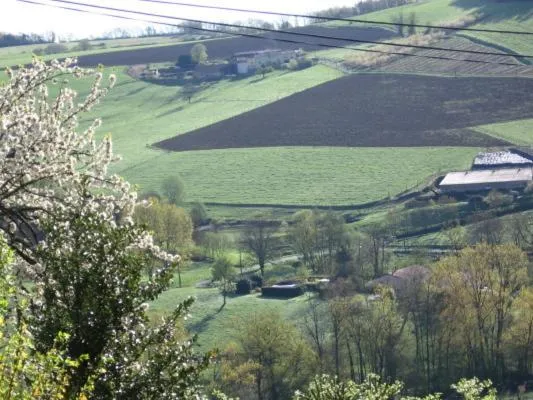 Spring in Le Clos du Merle