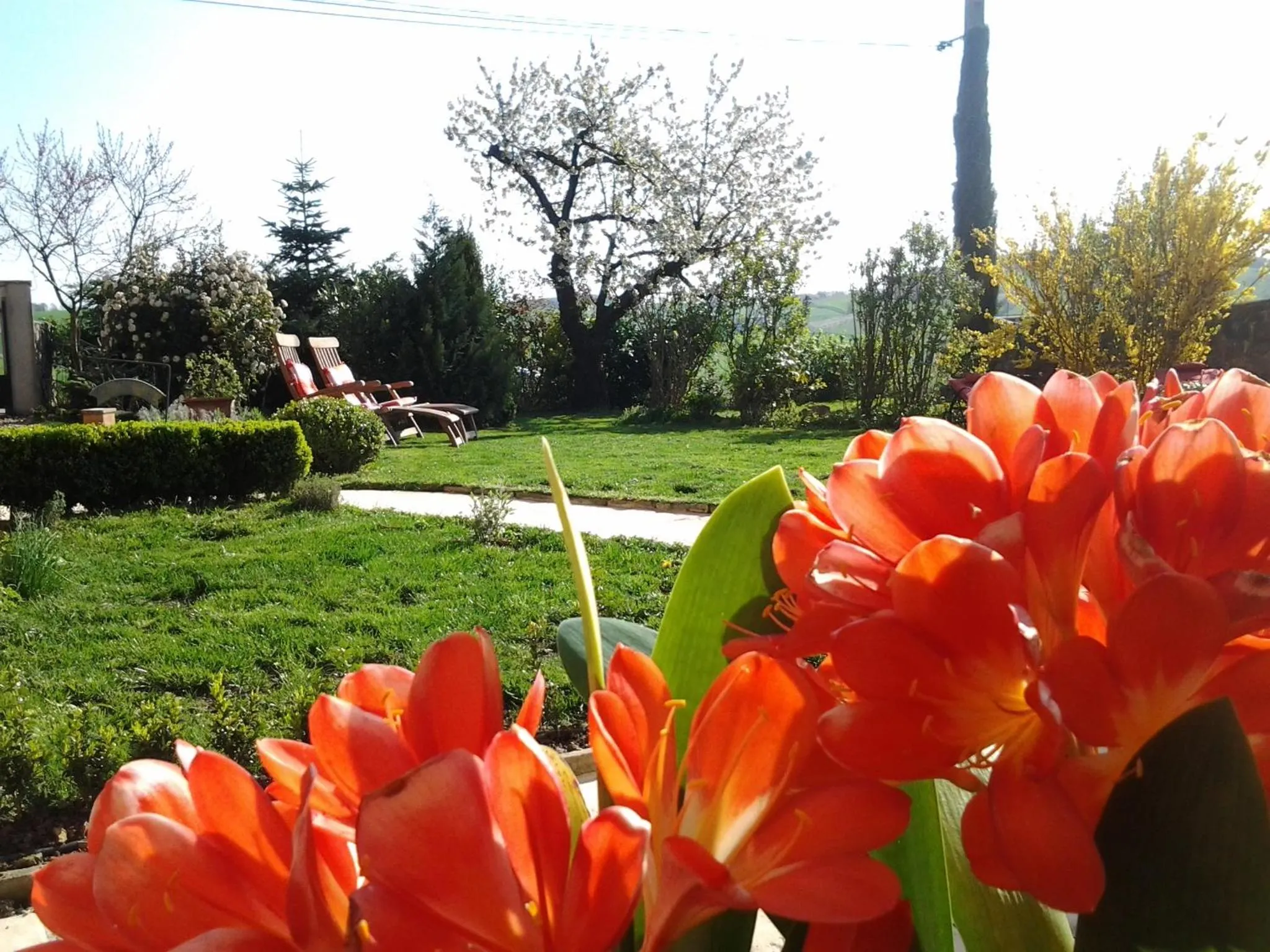 Garden in Le Clos du Merle