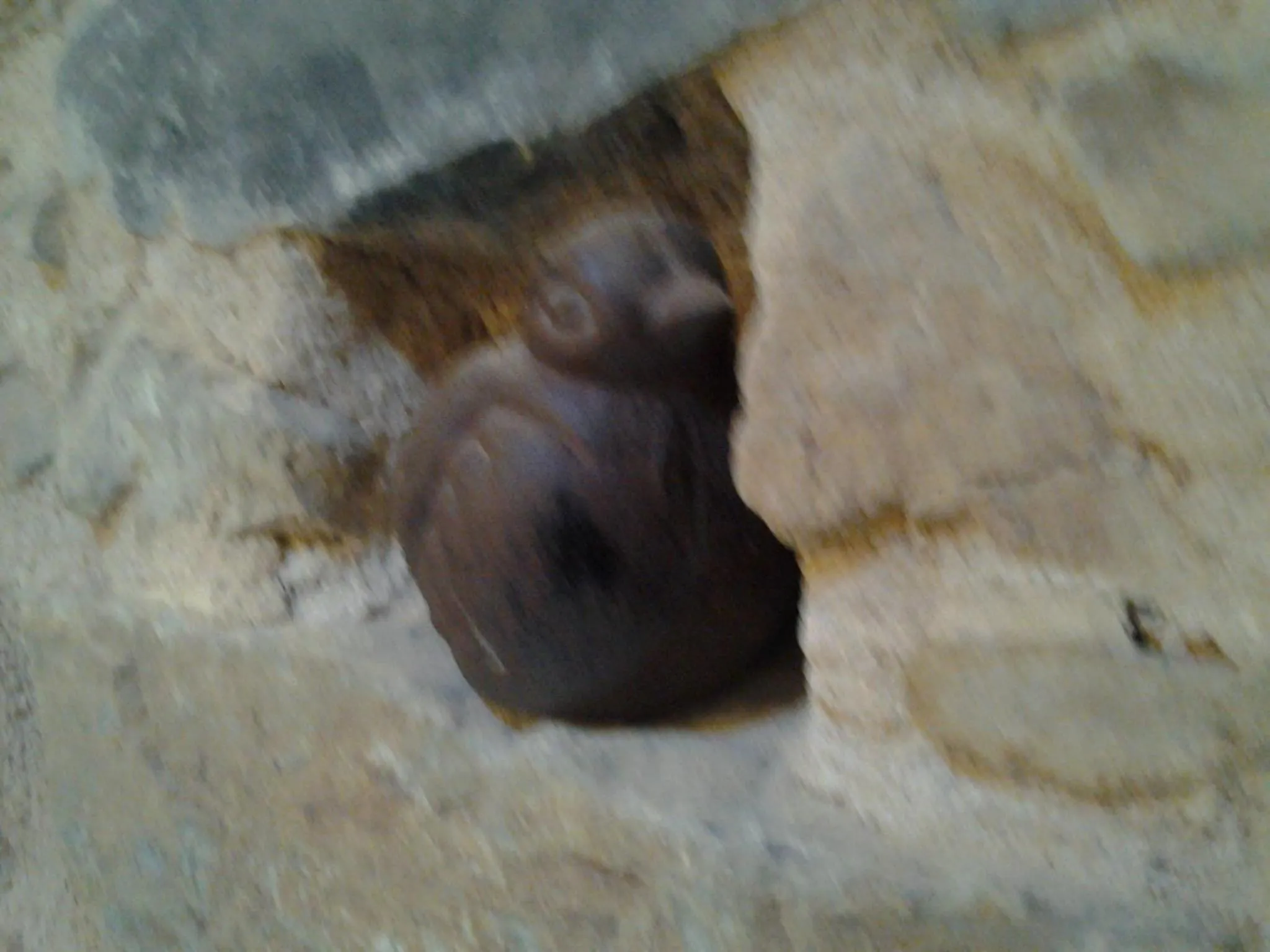 Decorative detail in Le Clos du Merle