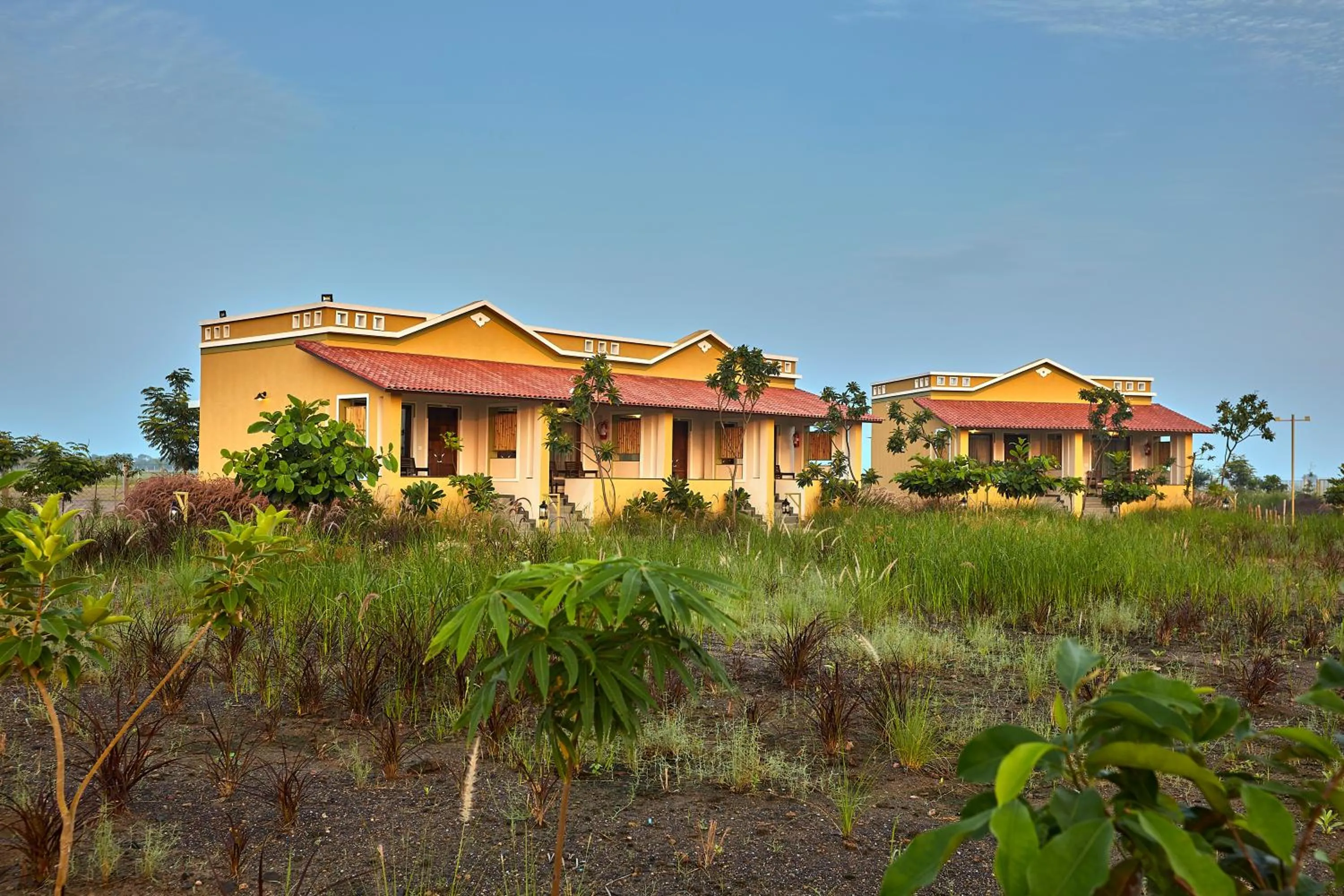 Property building in Blackbuck Safari Lodge Velavadar