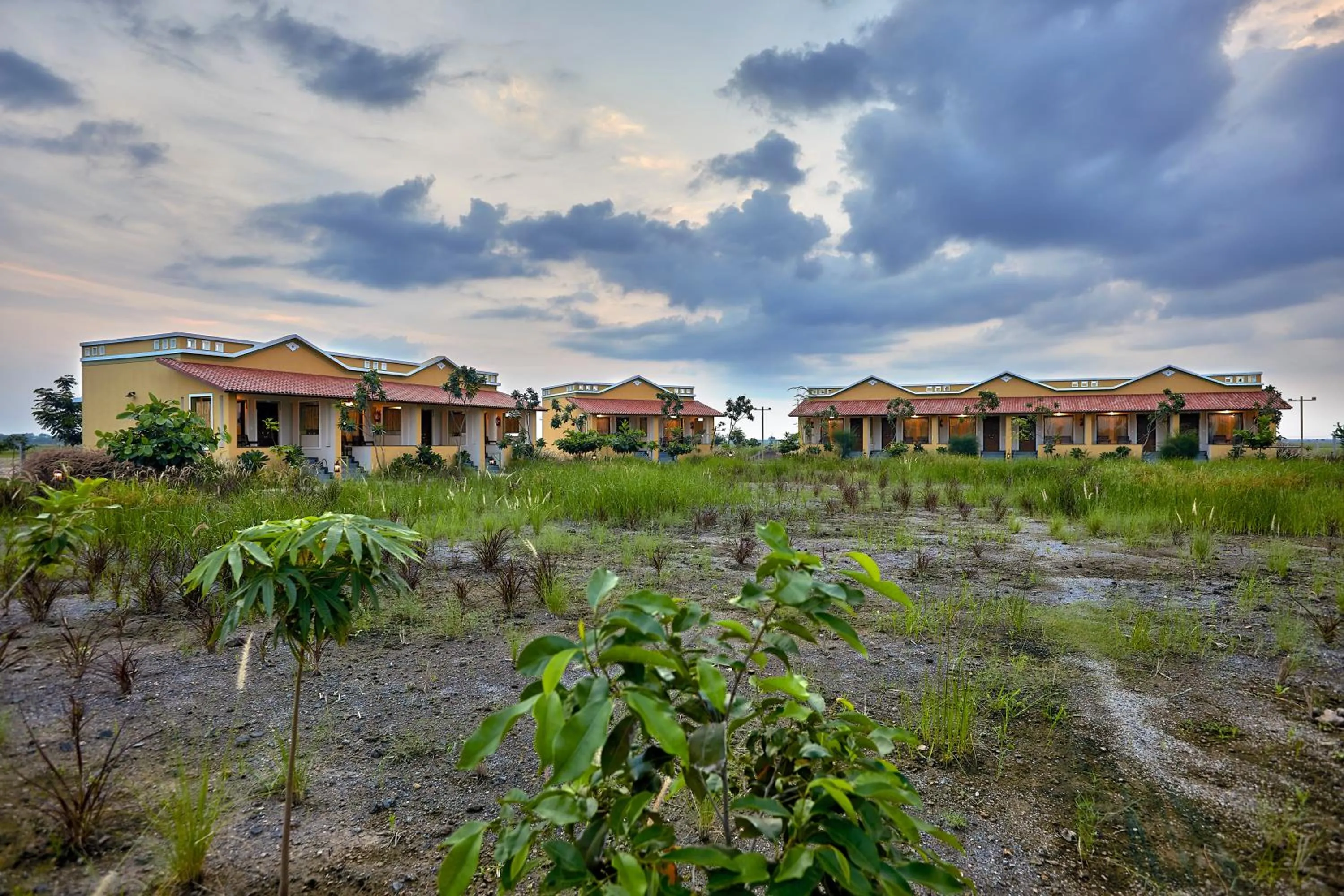 Property building in Blackbuck Safari Lodge Velavadar