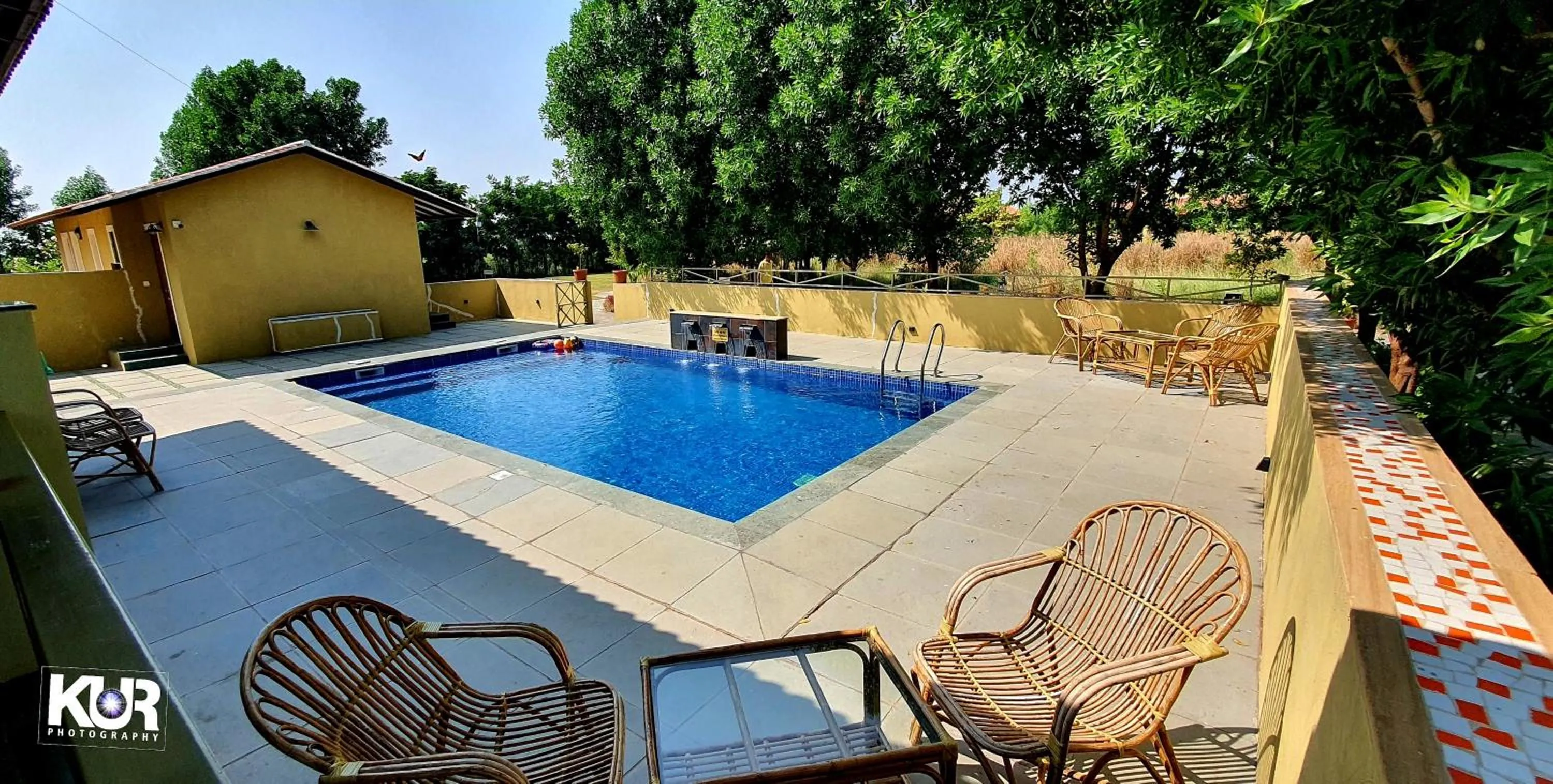 Swimming pool in Blackbuck Safari Lodge Velavadar