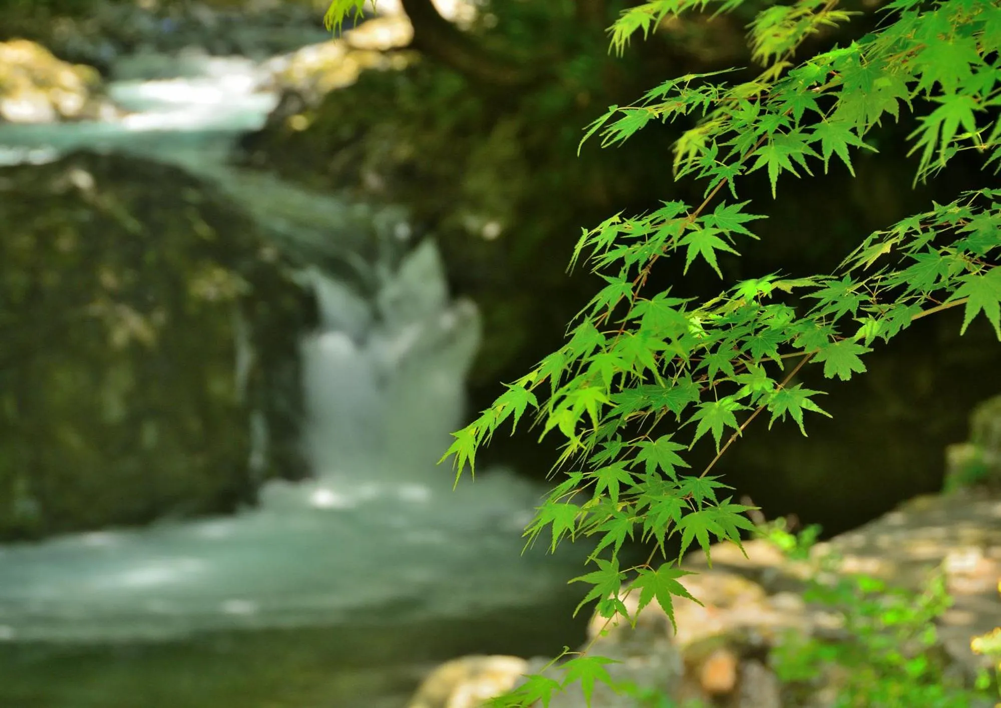 Nearby landmark in HOTEL&RESORT Izu no Ne