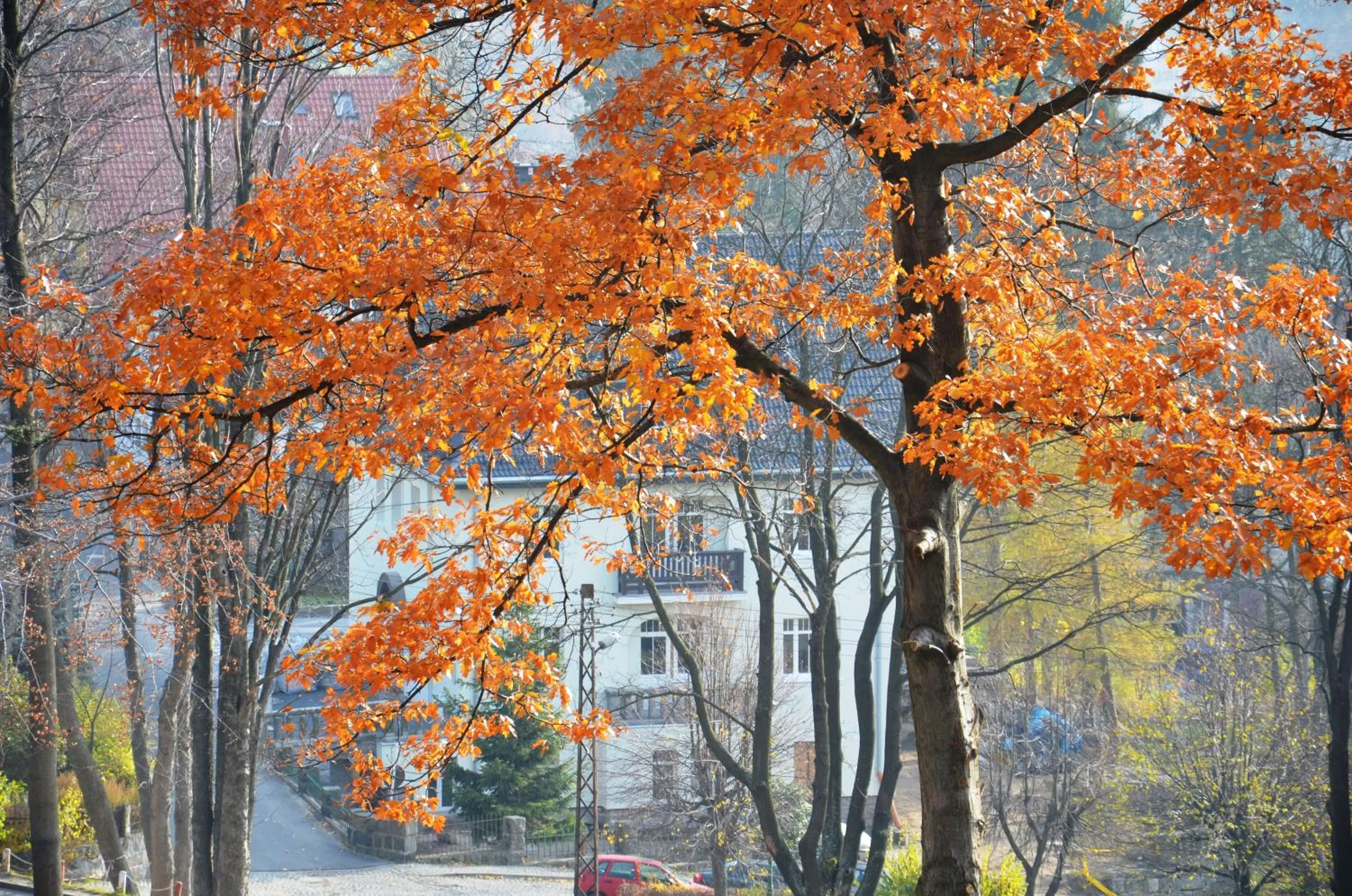 Day in Willa Na Cichej