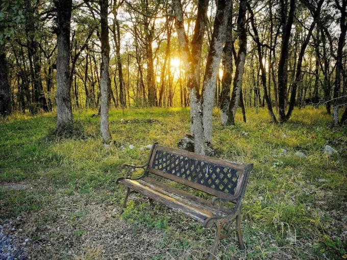 le clos des dryades f