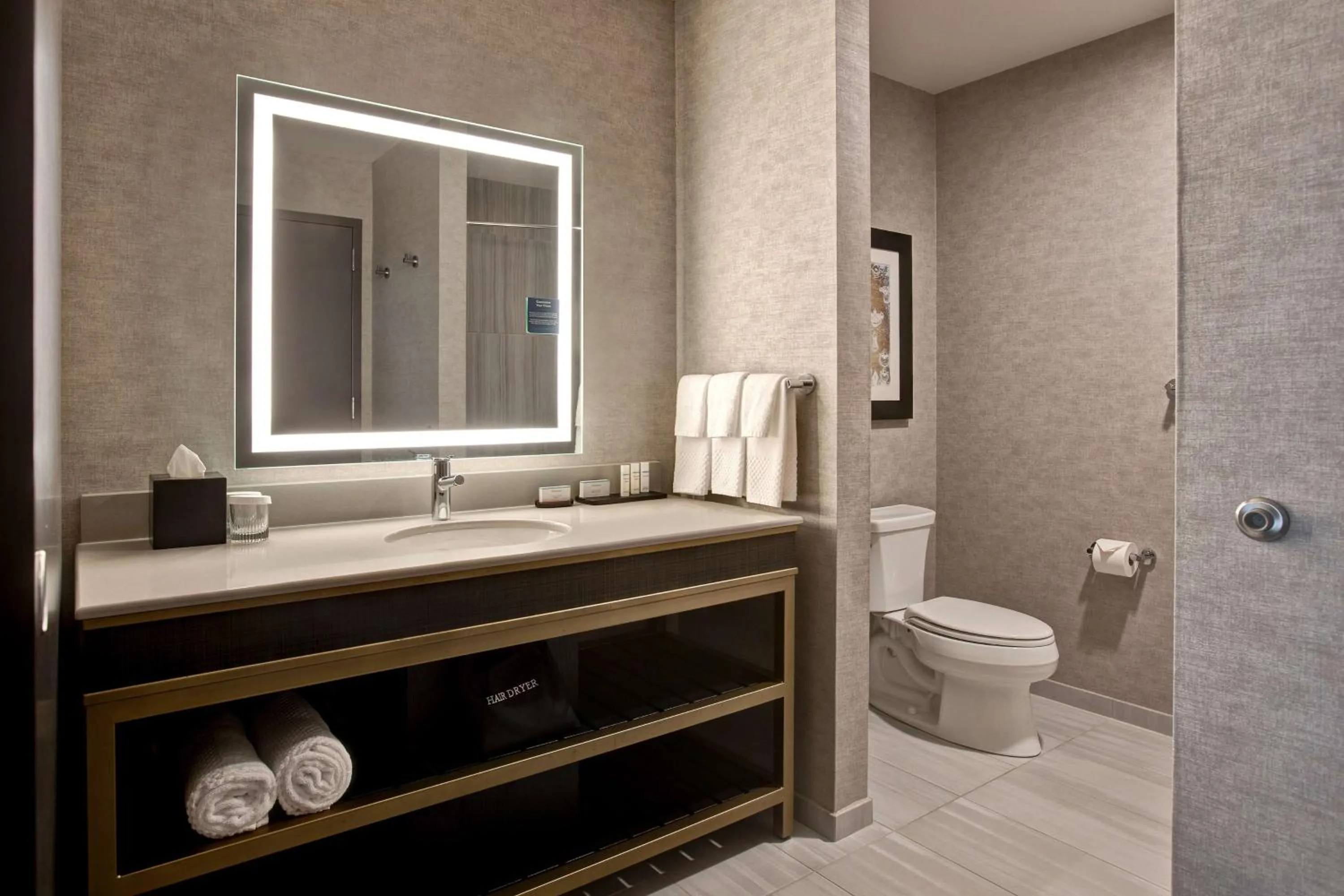 Bathroom in Embassy Suites By Hilton Rockford Riverfront