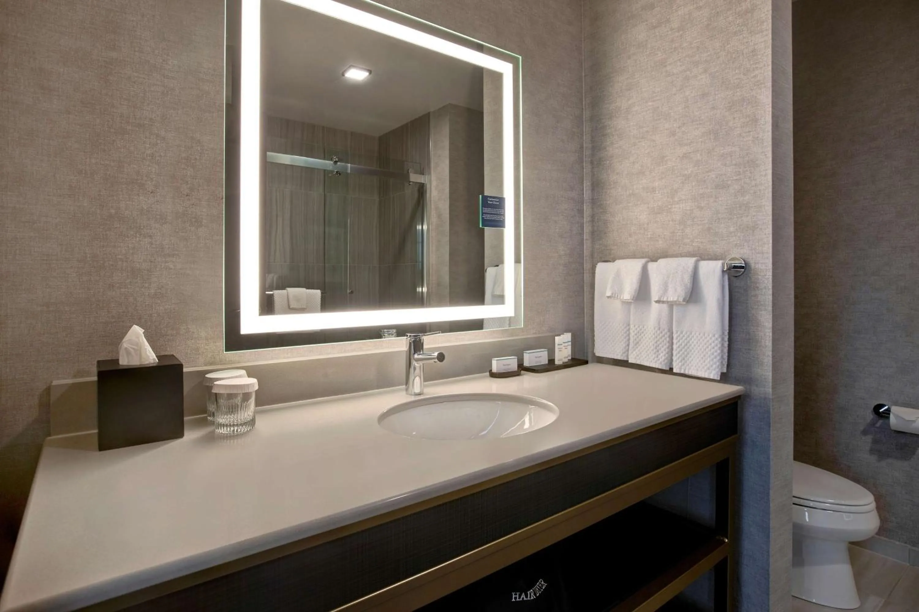 Bathroom in Embassy Suites By Hilton Rockford Riverfront