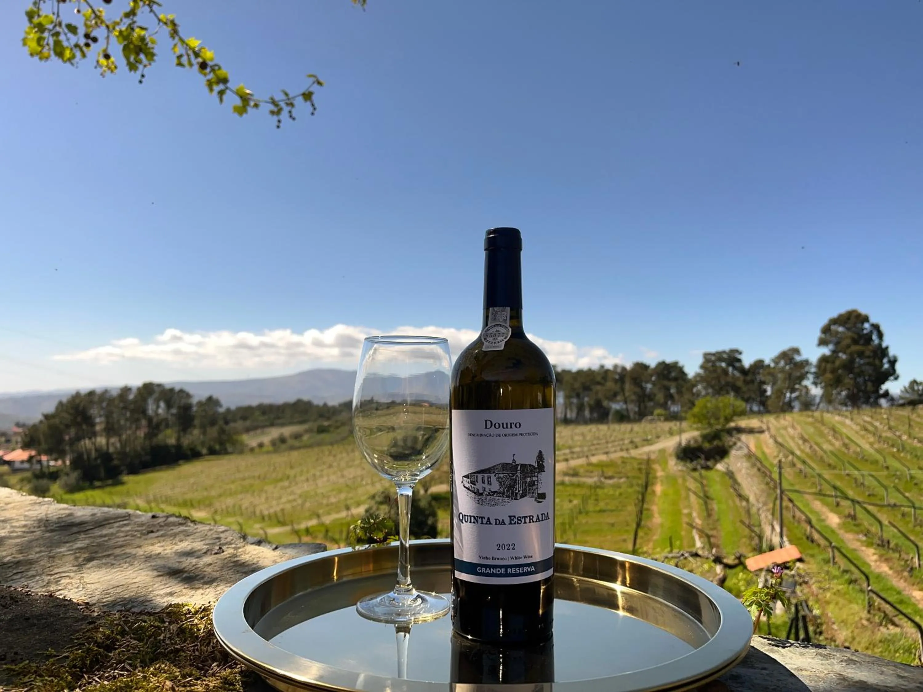 Spring in Quinta Da Estrada Winery Douro Valley