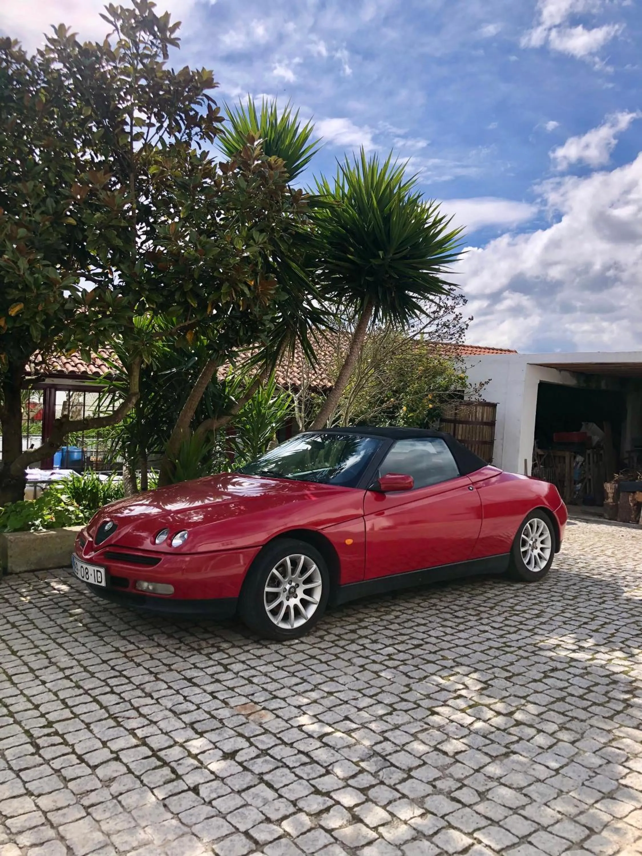 Garden in Quinta Da Estrada Winery Douro Valley