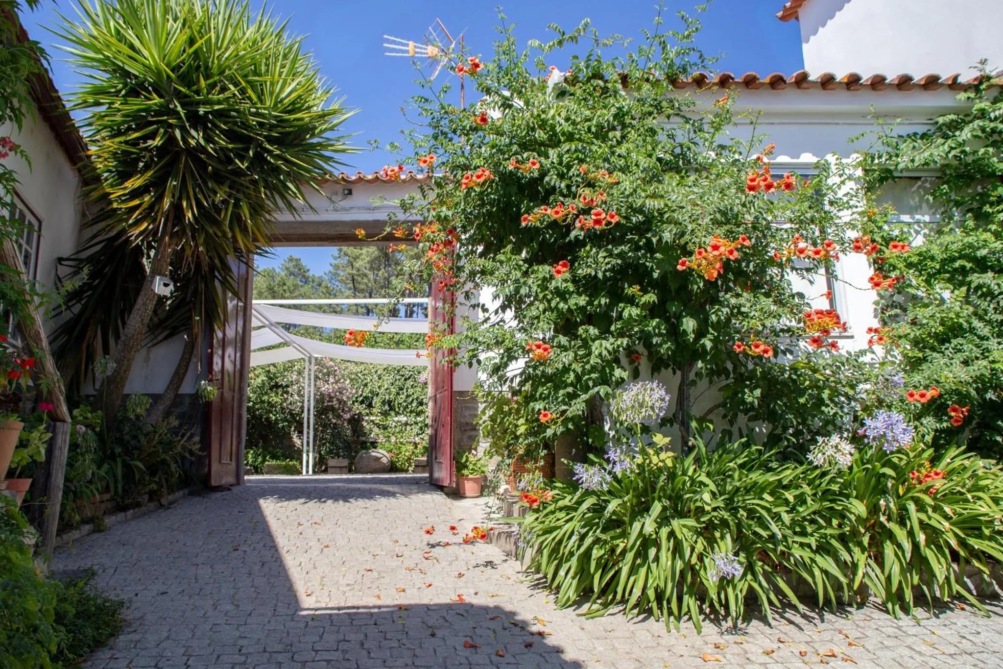 Spring in Quinta Da Estrada Winery Douro Valley