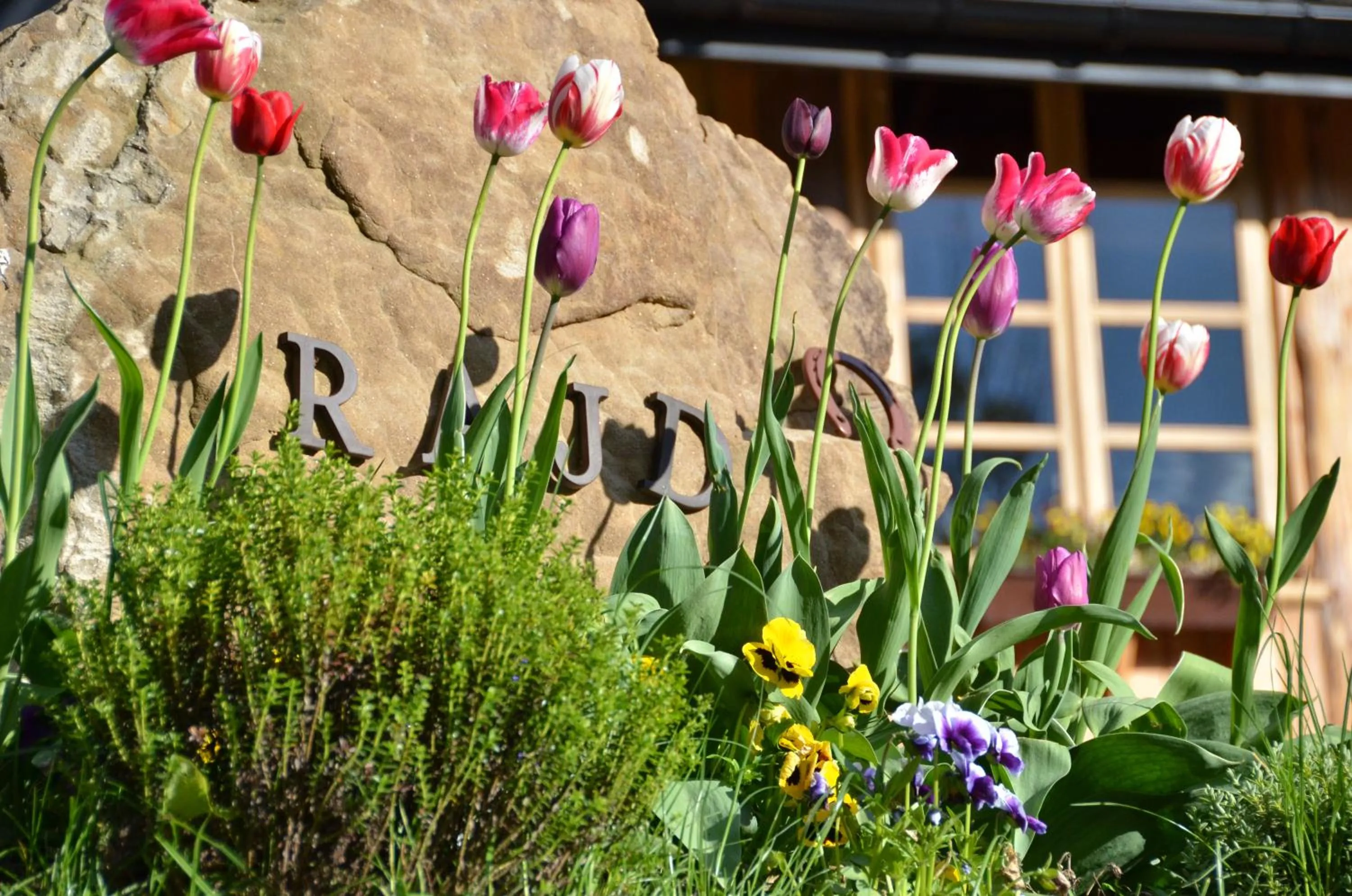 Decorative detail in Apartamenty Rajd Jaworki