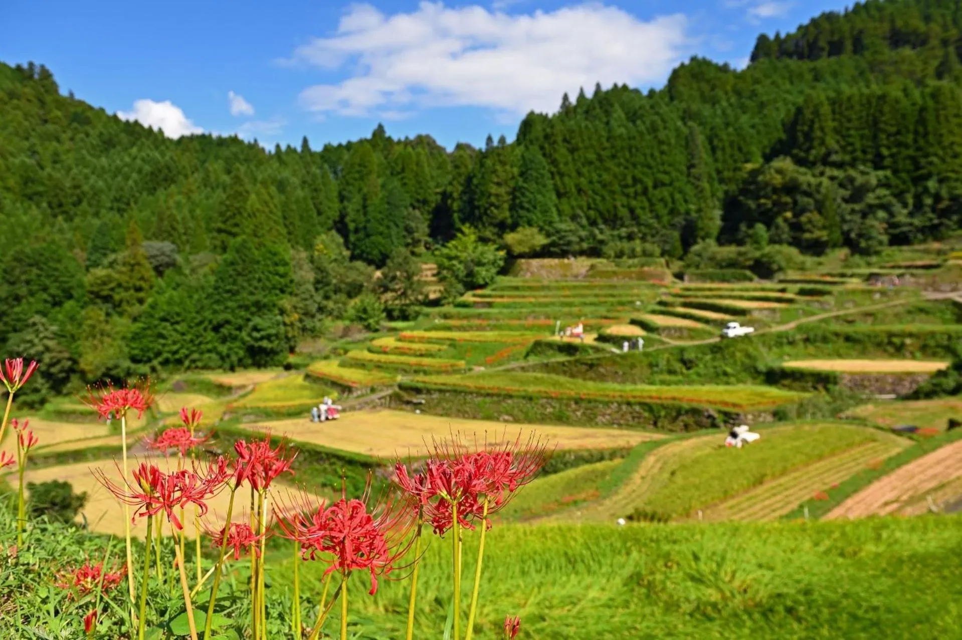 Nearby landmark in Omuta Heights