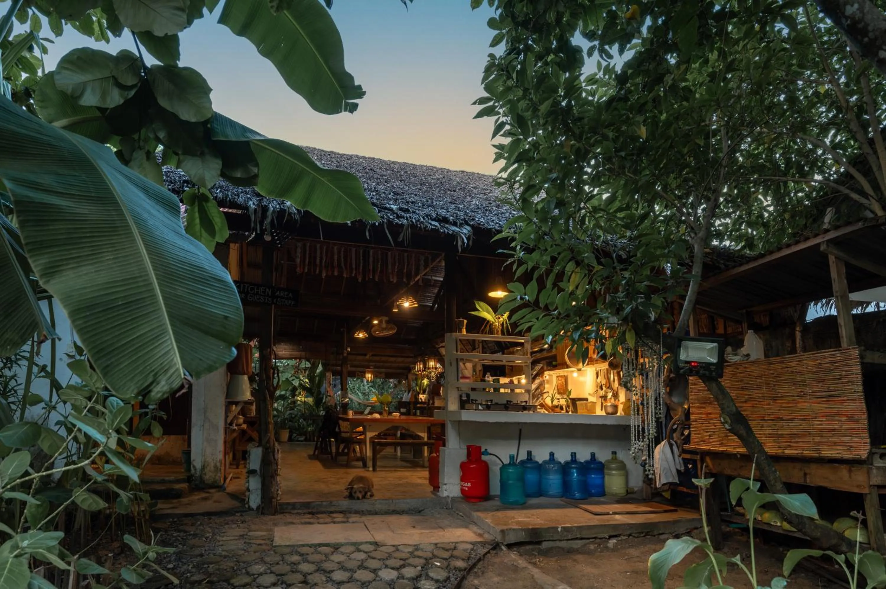 Communal kitchen in Soffta Surf Ranch