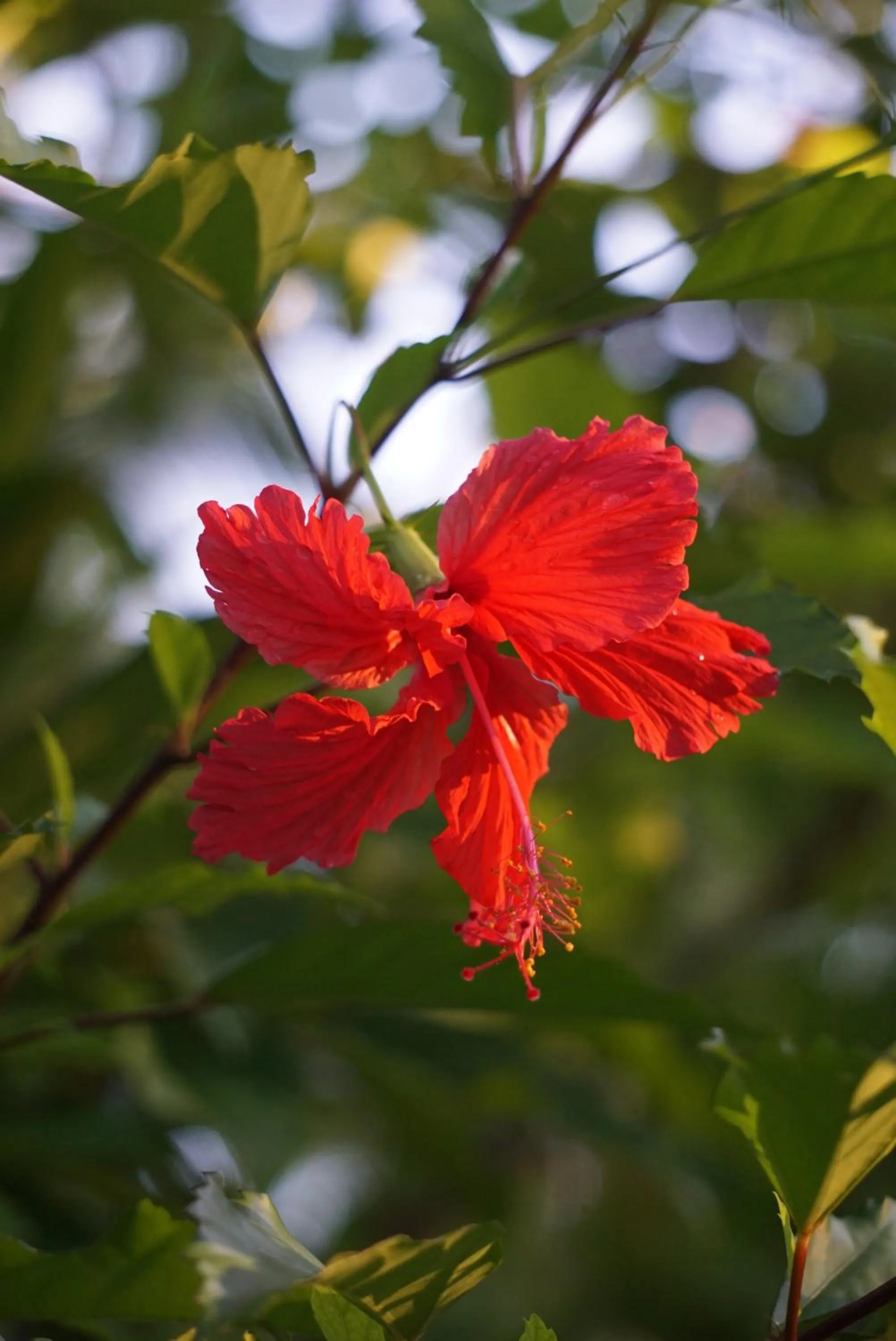 Natural landscape in Soffta Surf Ranch