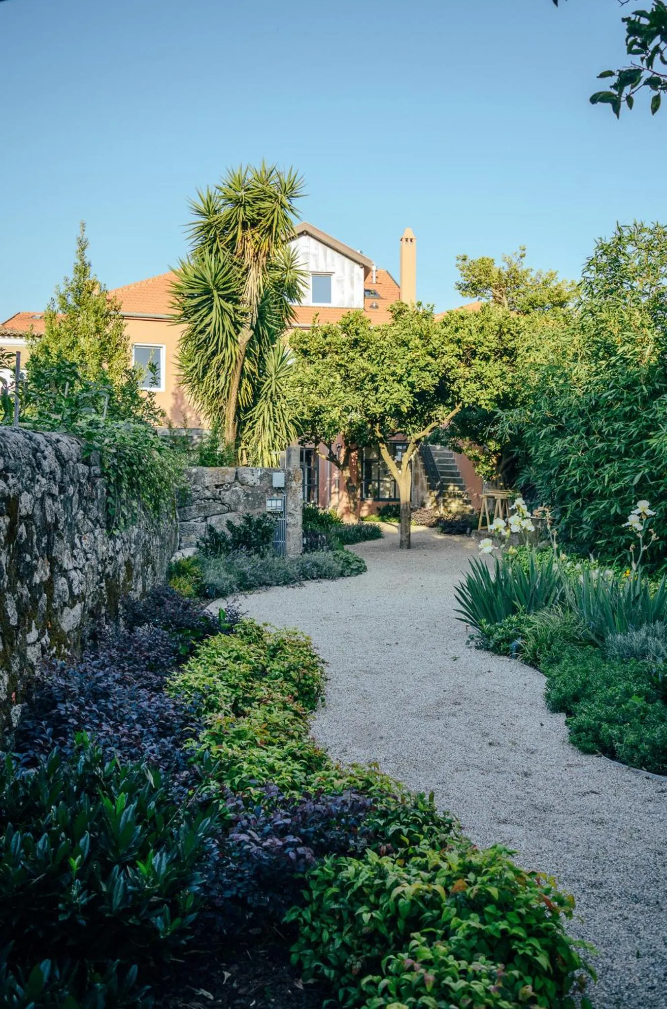 Garden in Queen's Garden Hostel