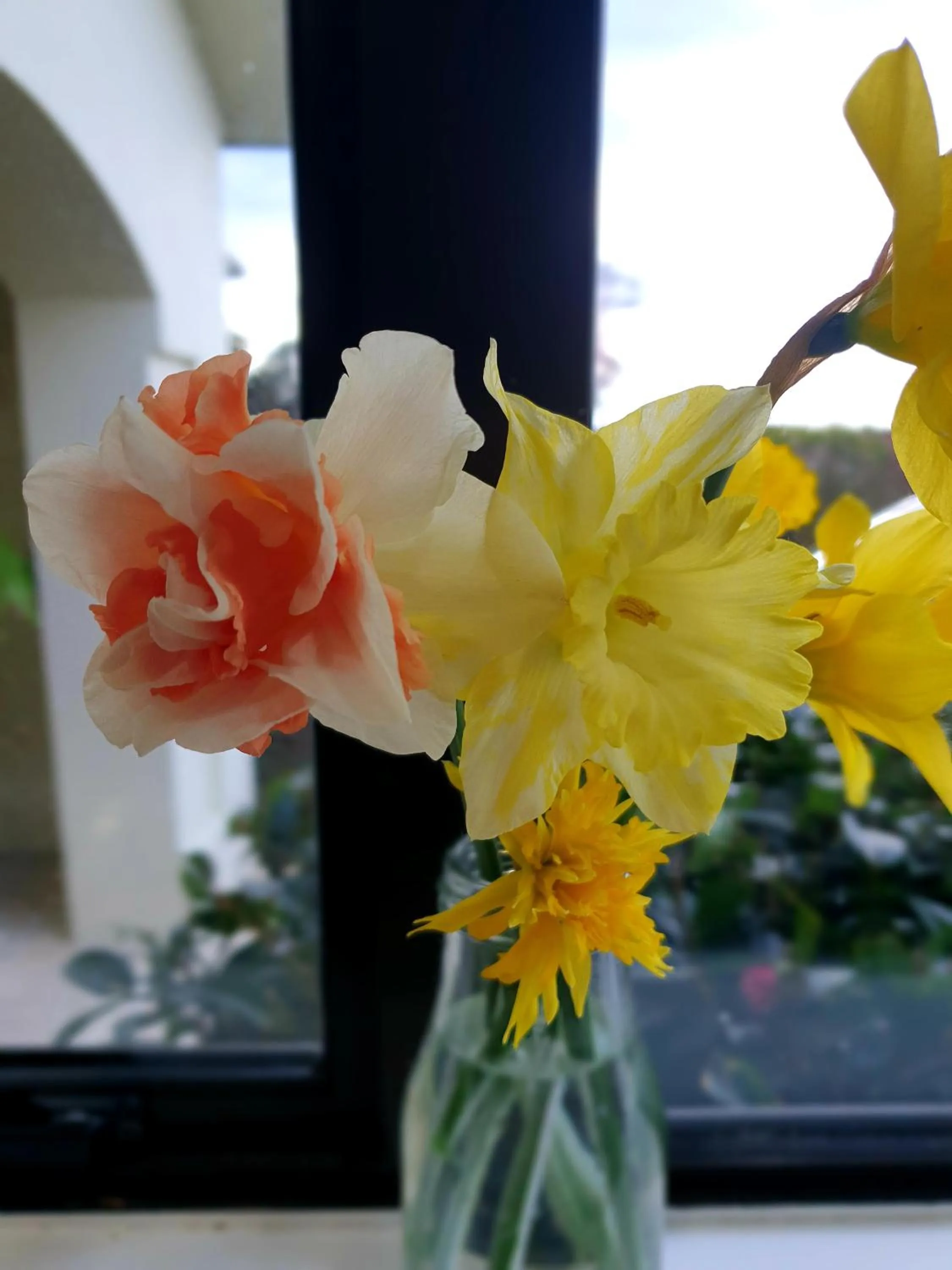 Garden view in Te Mahuru Retreat