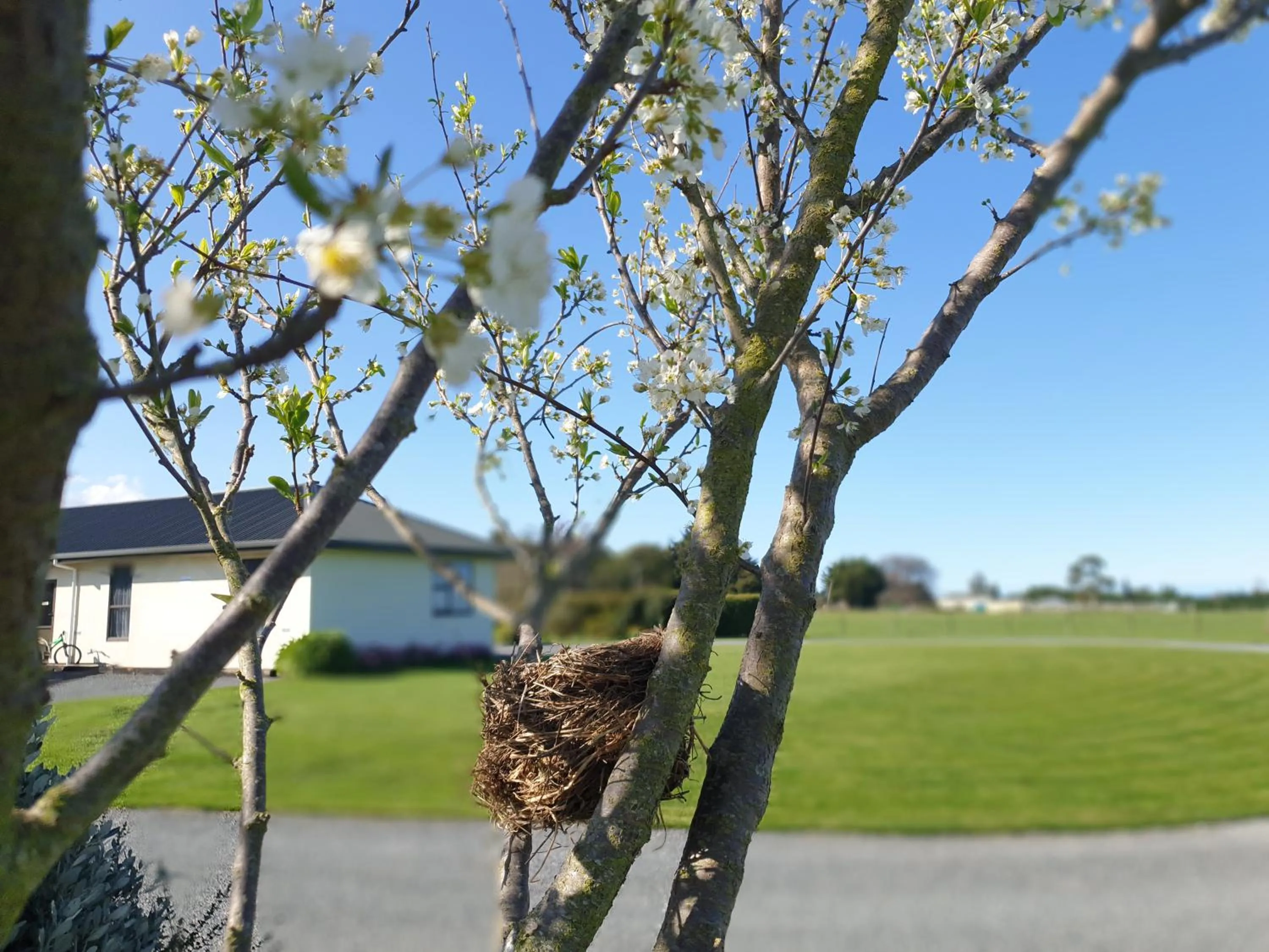 Garden view in Te Mahuru Retreat