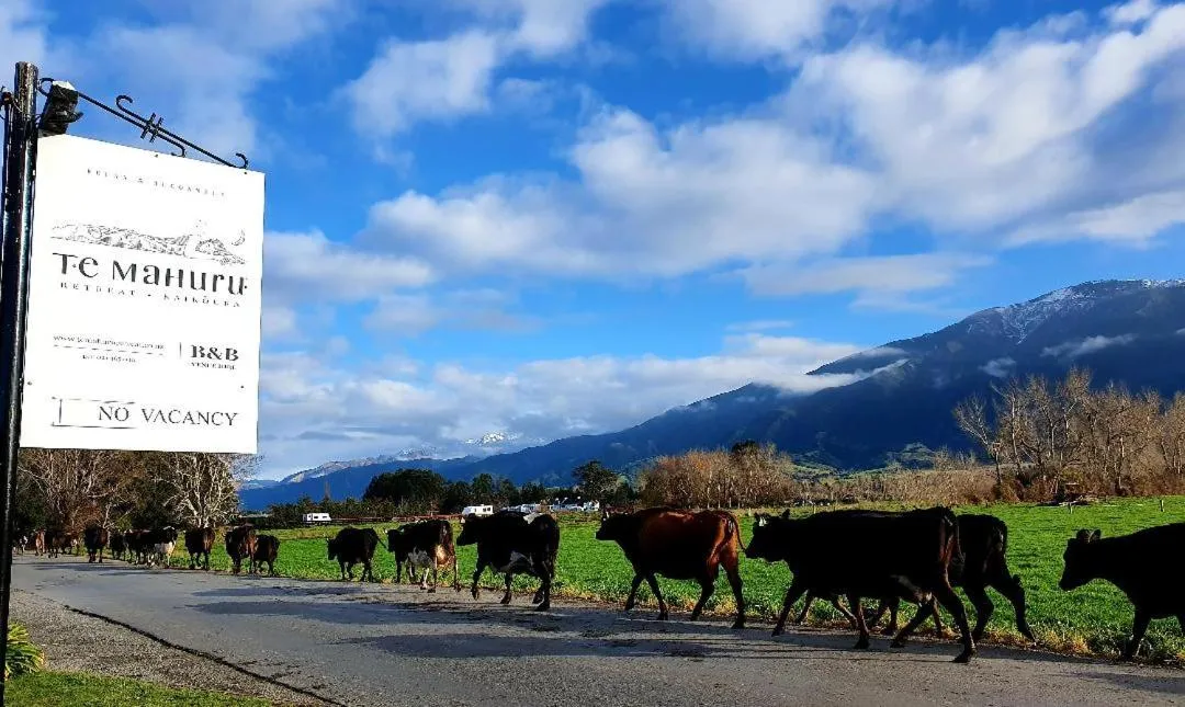 Animals in Te Mahuru Retreat