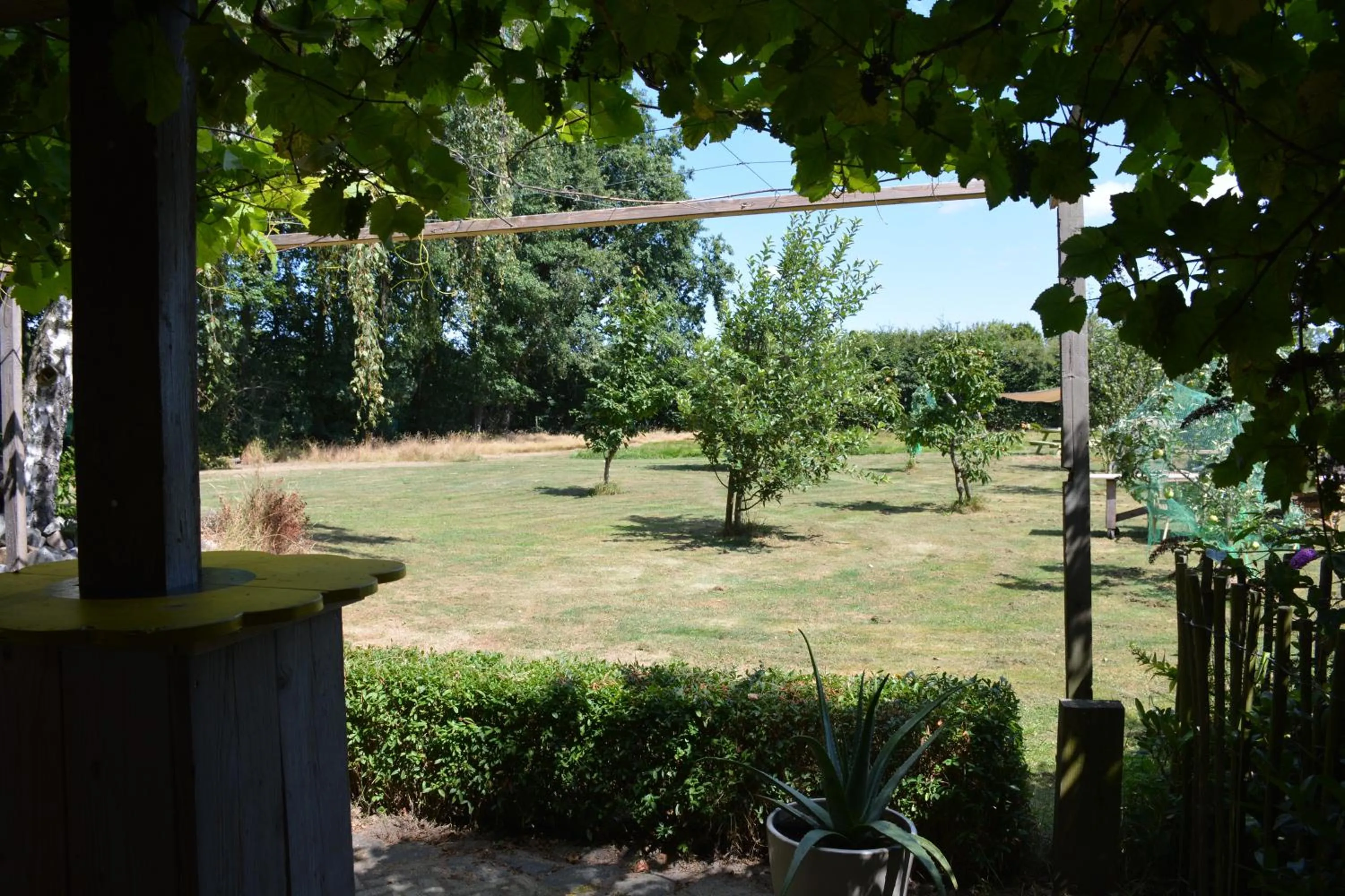 Garden view in Tijdzat