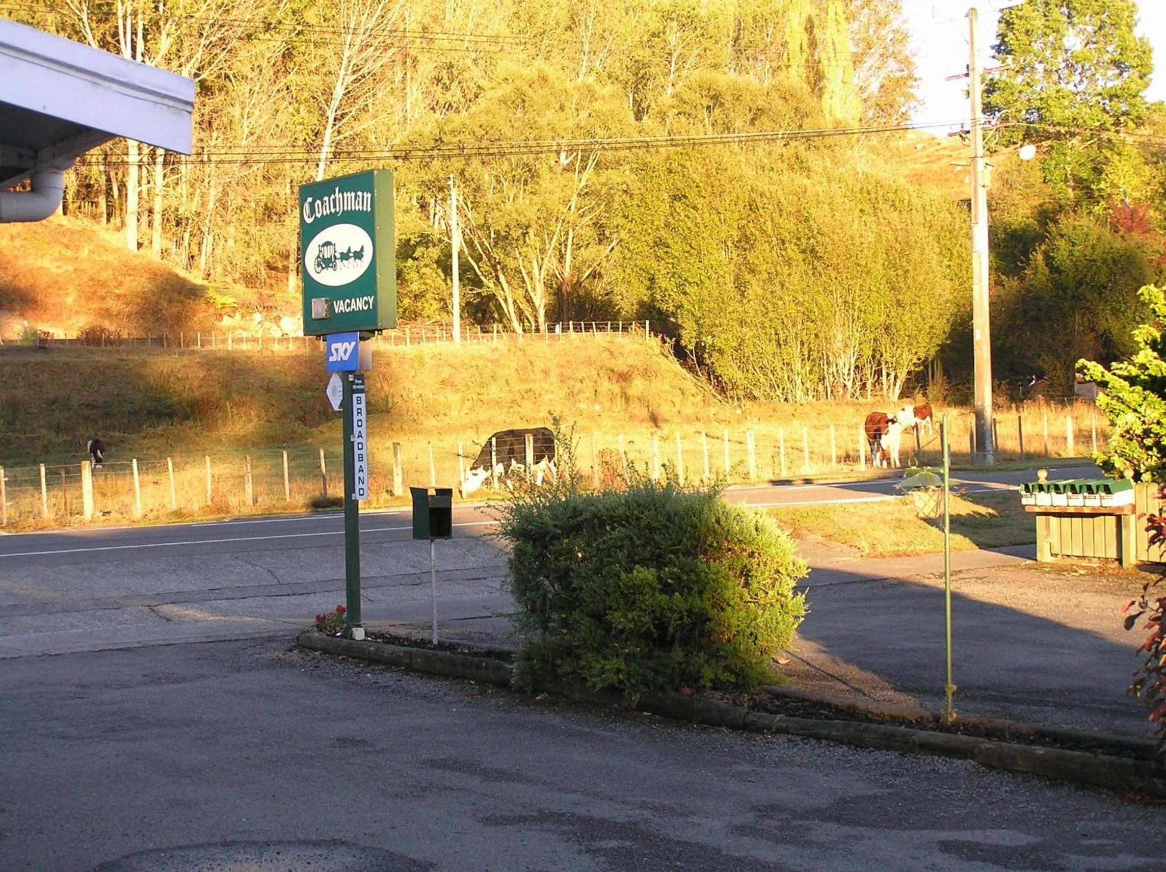 Day in Coachman Motel