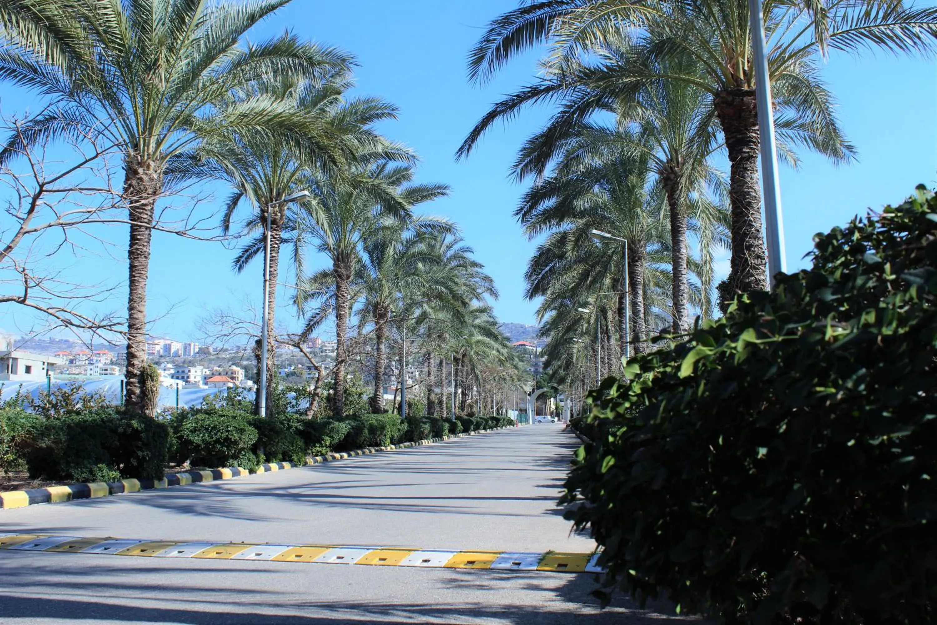 Area and facilities in Jiyeh Marina Resort Hotel & Chalets