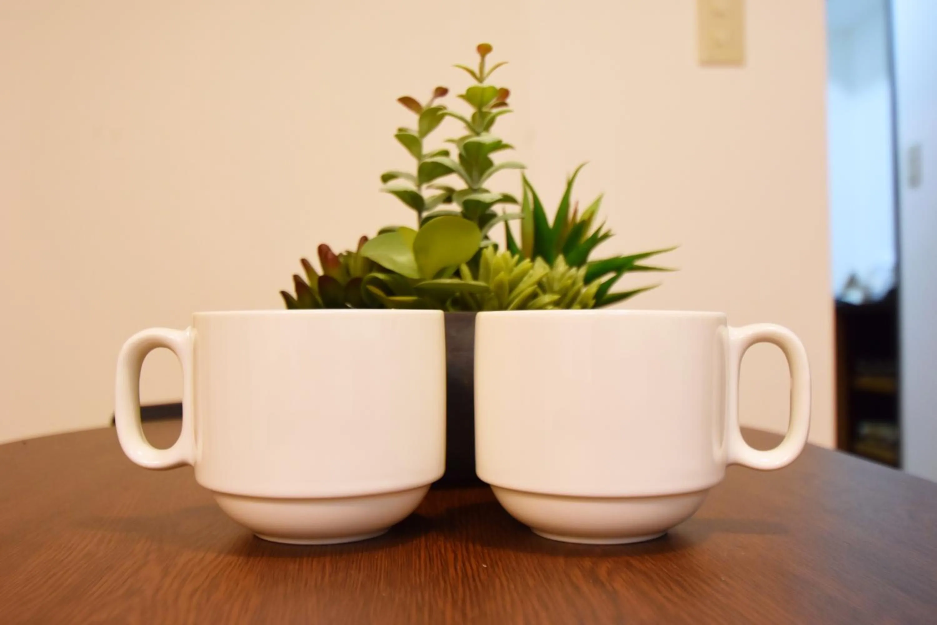 TOMARIE Residential Suite Edogawa