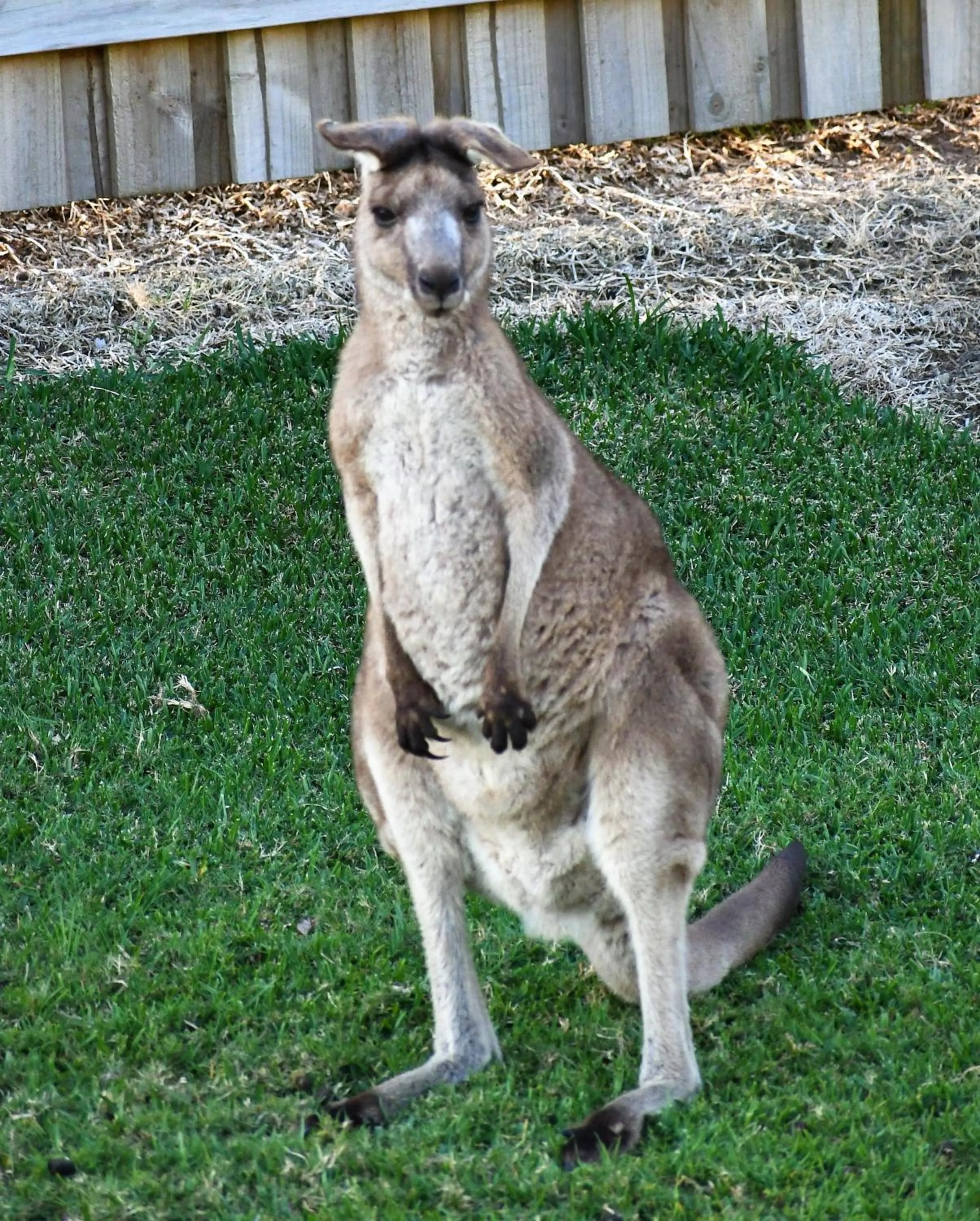 View (from property/room) in Salt @ South West Rocks