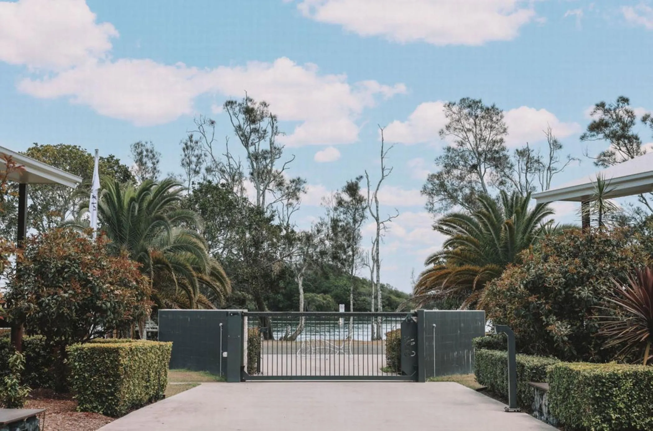 Garden in Salt @ South West Rocks