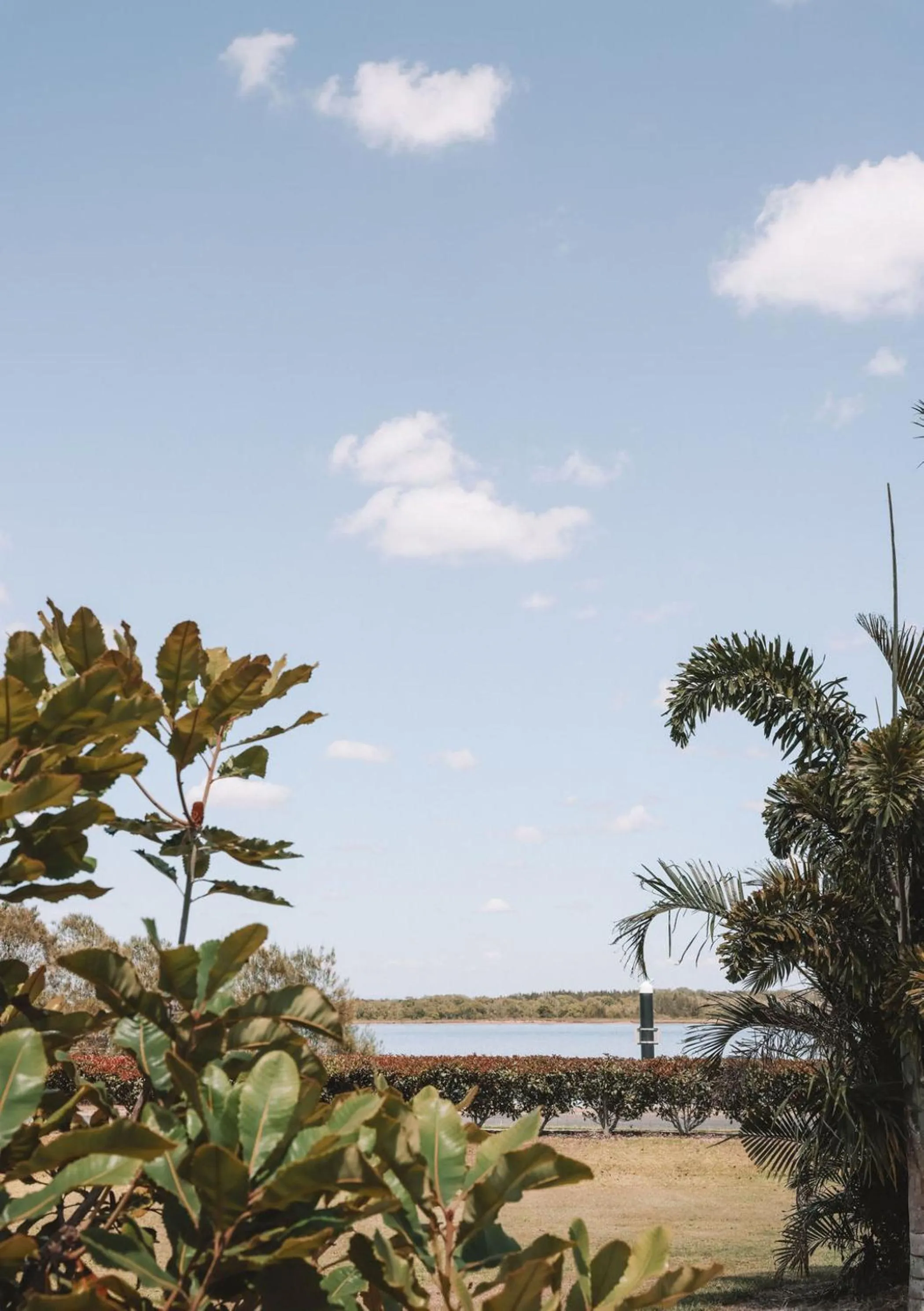 Natural landscape in Salt @ South West Rocks