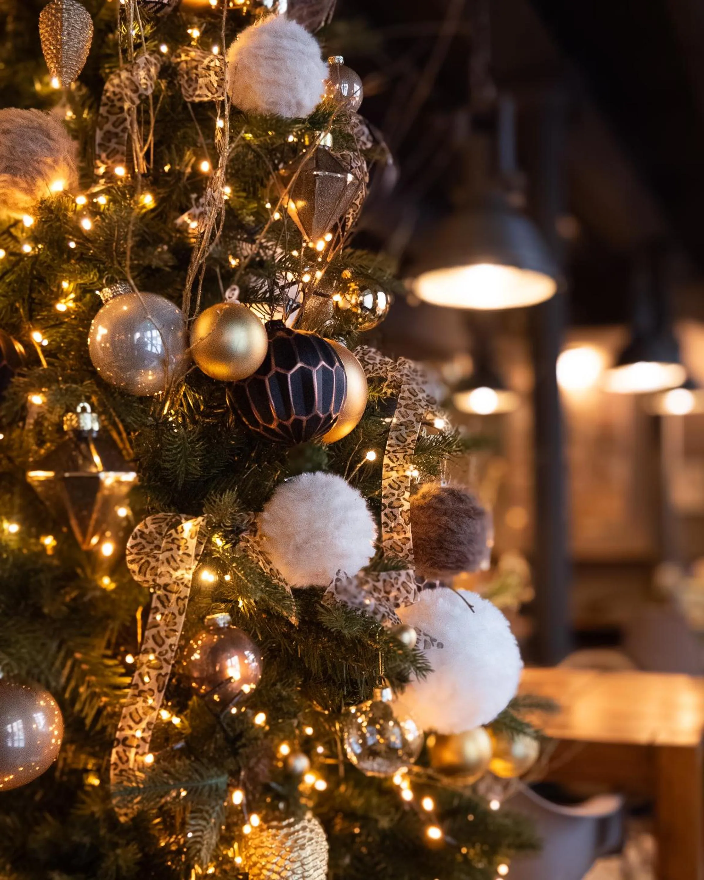 Property building in Hôtel Fabric