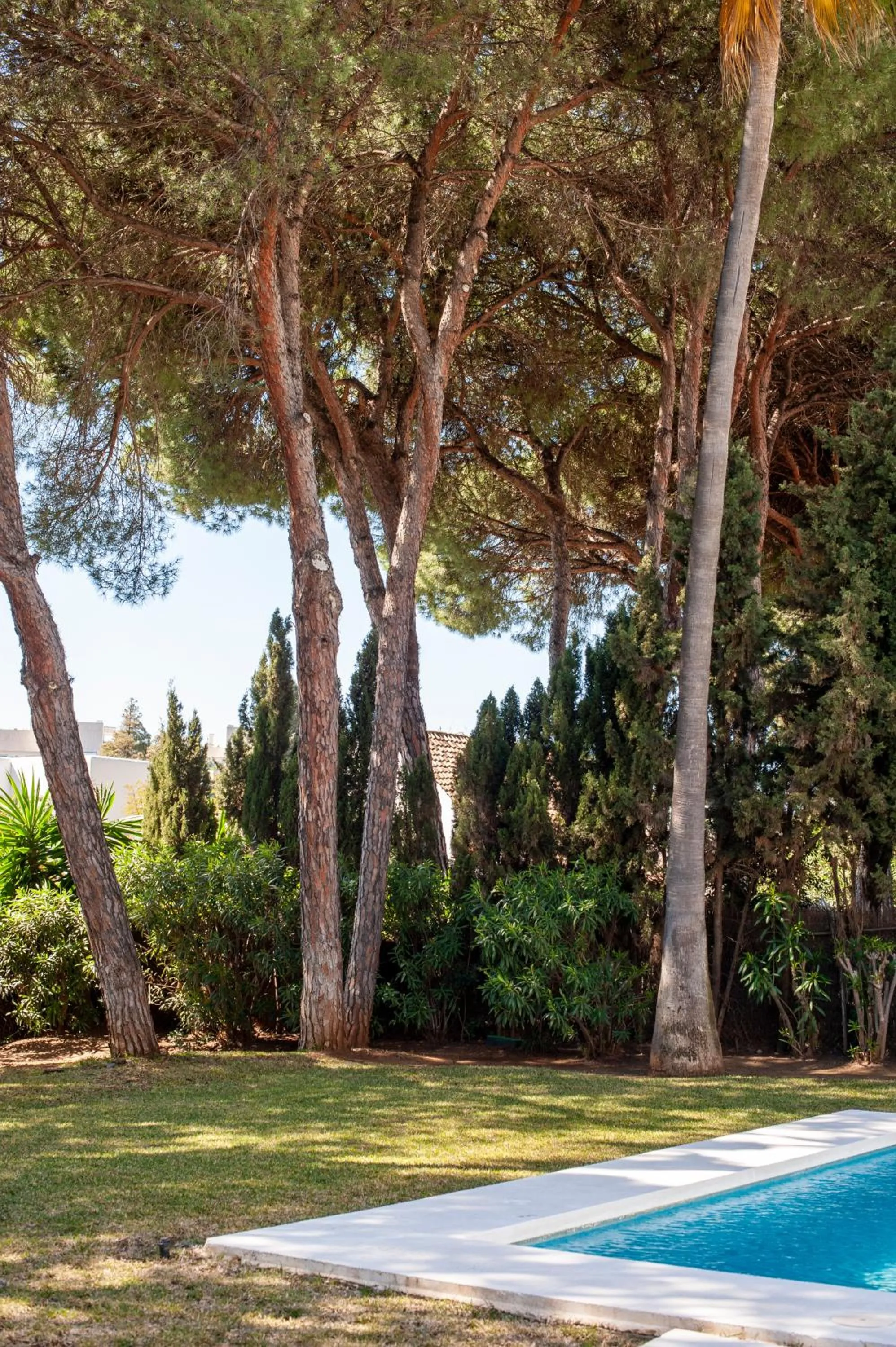 Natural landscape in Villa Marina