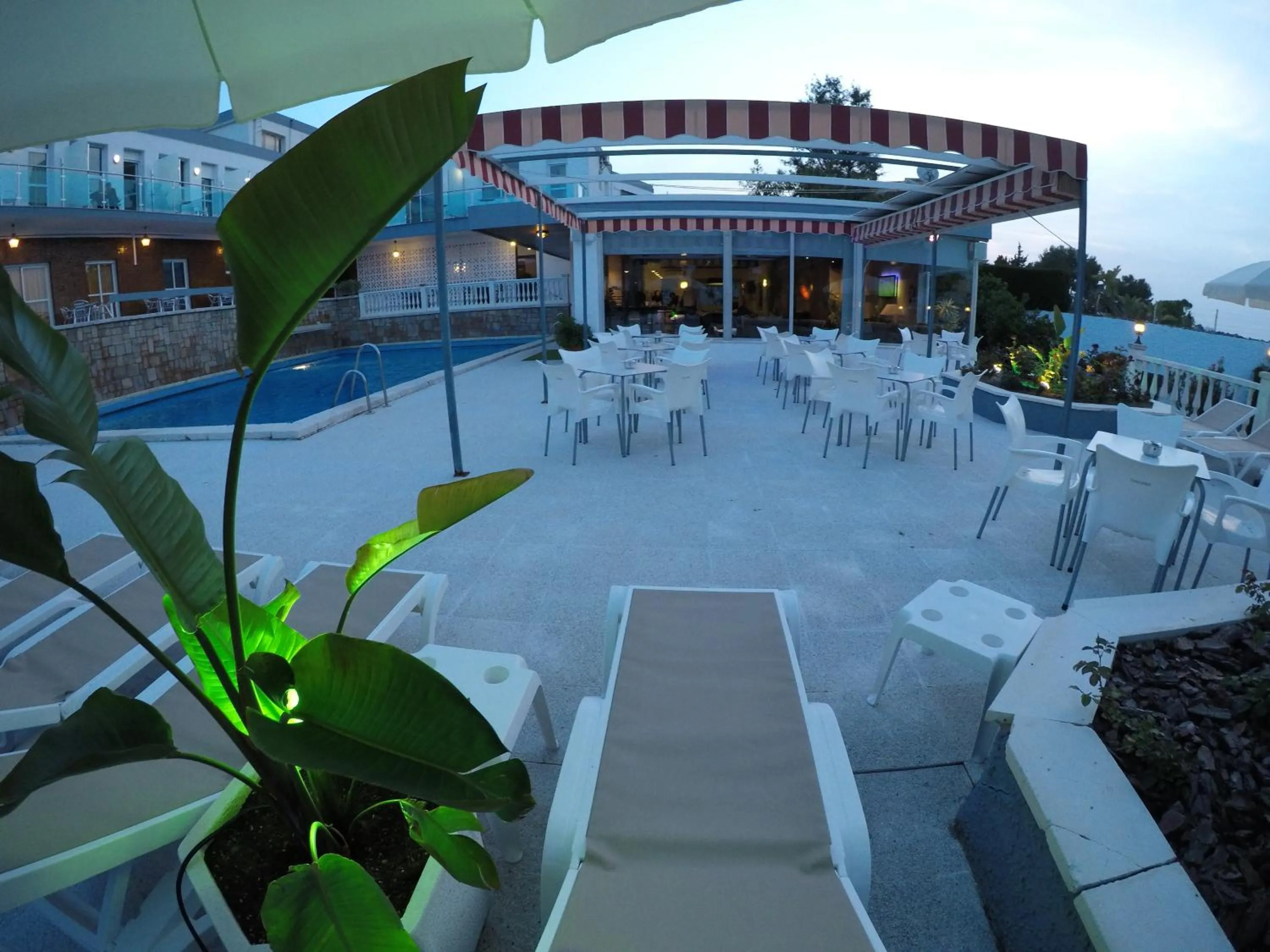 Garden in Hotel Complejo Los Rosales