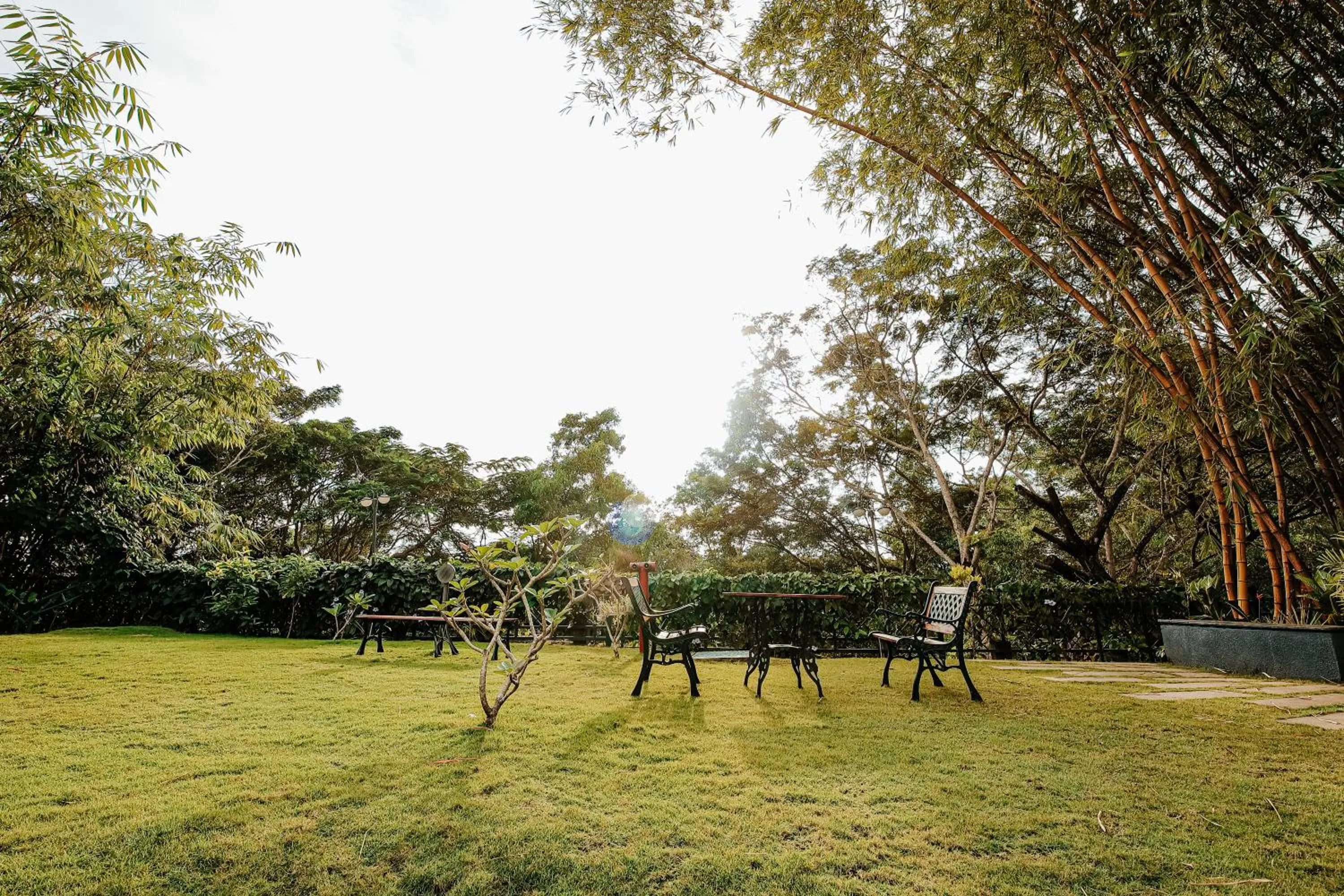 Garden in Avoki Resorts