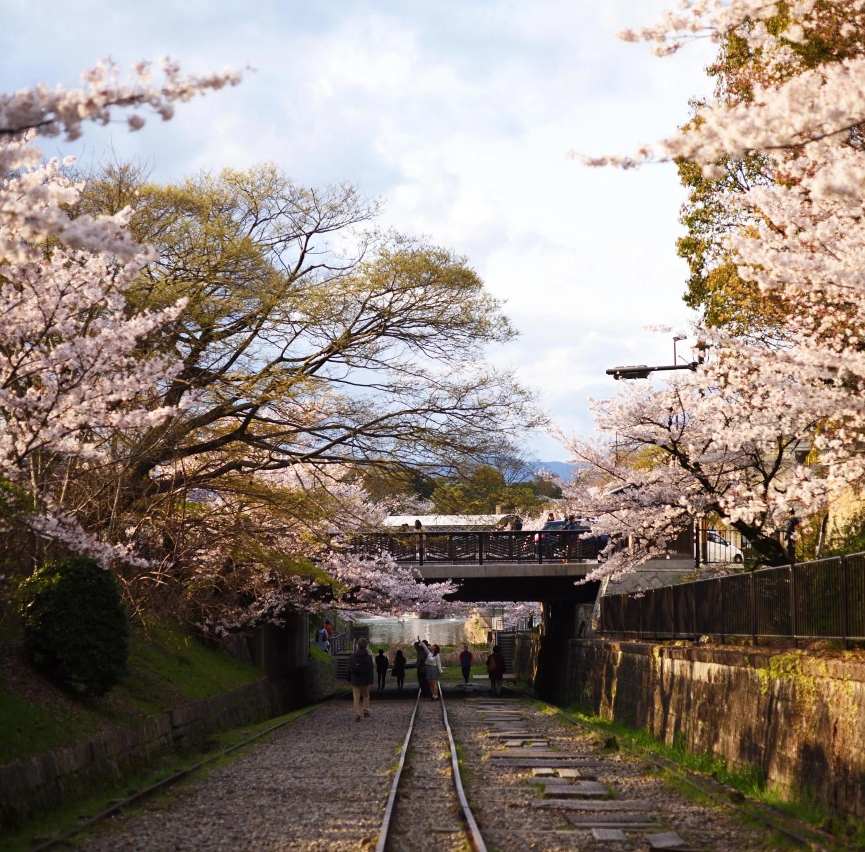 Natural landscape in EN HOTEL Kyoto