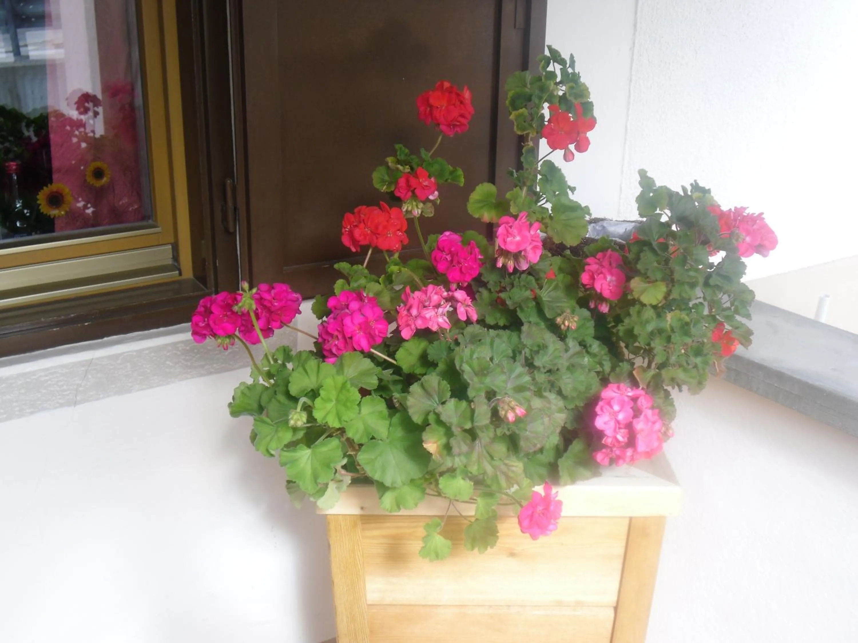 Balcony/Terrace in Garni Margherita
