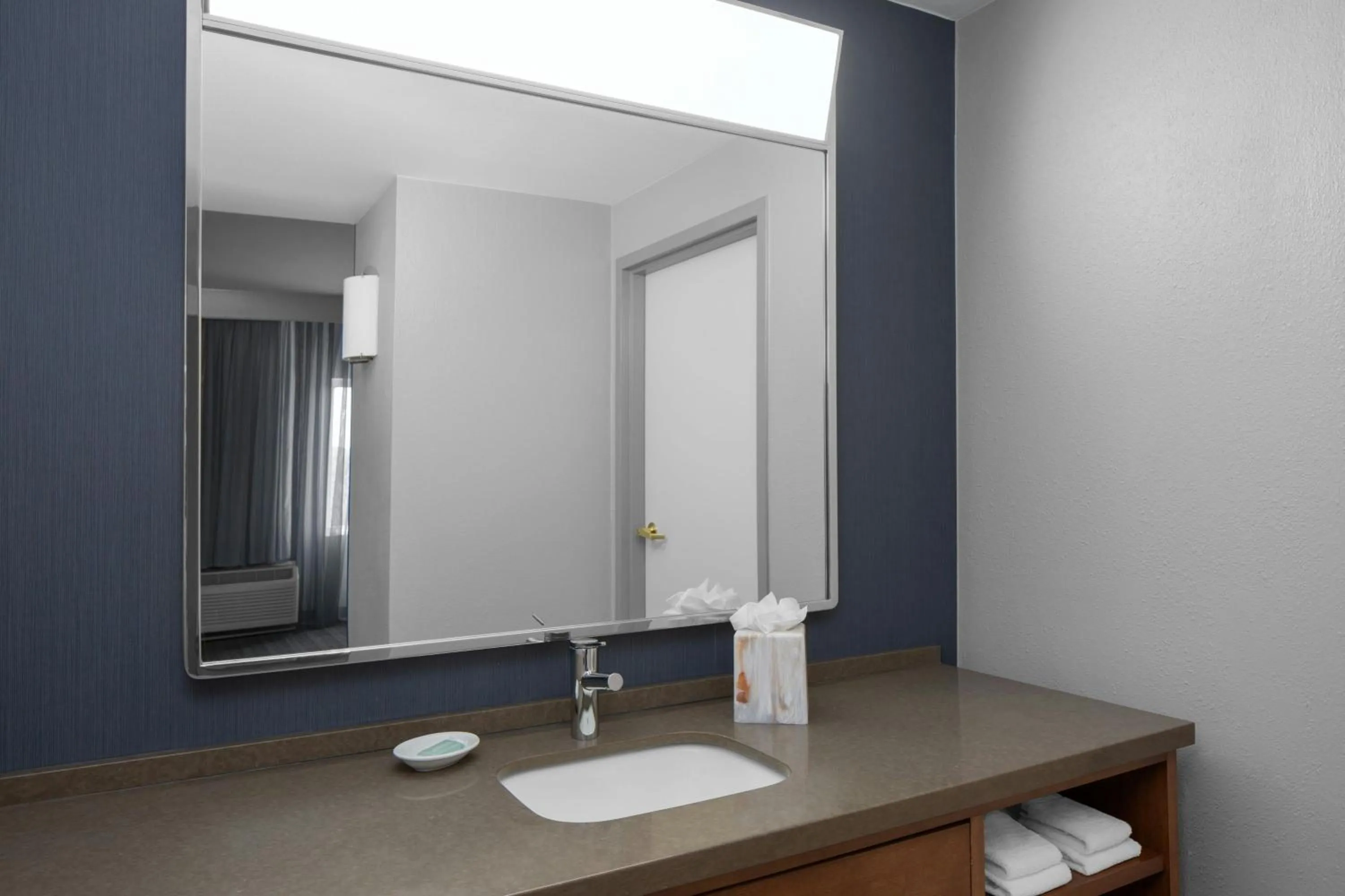 Bathroom in Courtyard Tampa Oldsmar