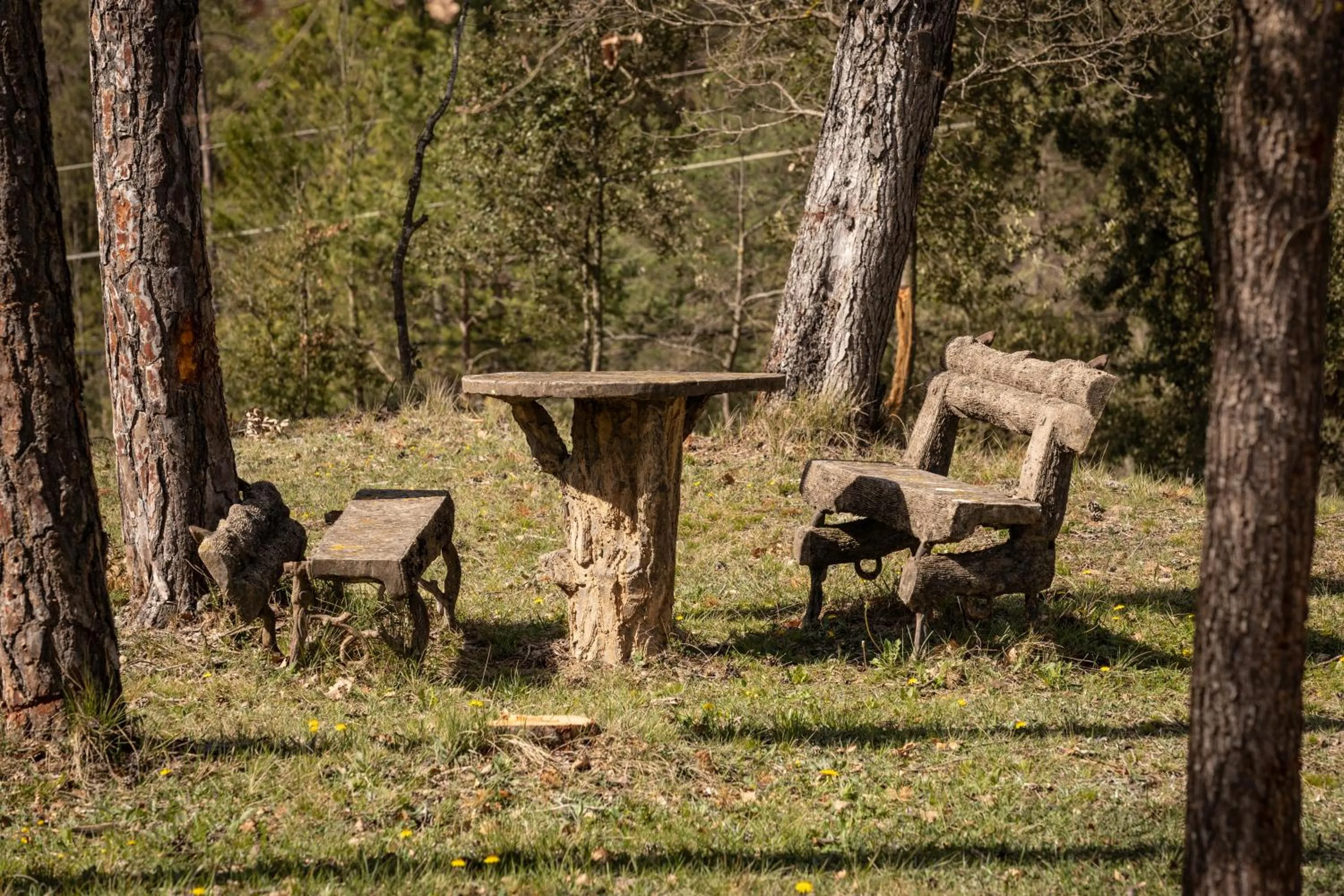 Day in La Torre del Vilar