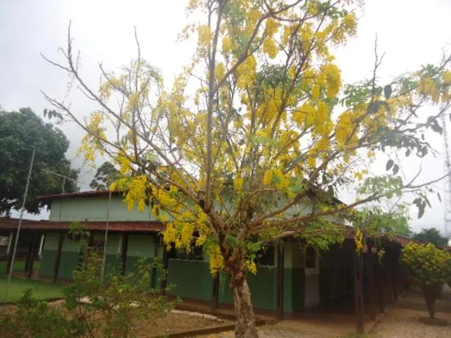 Garden in Pousada Meribá