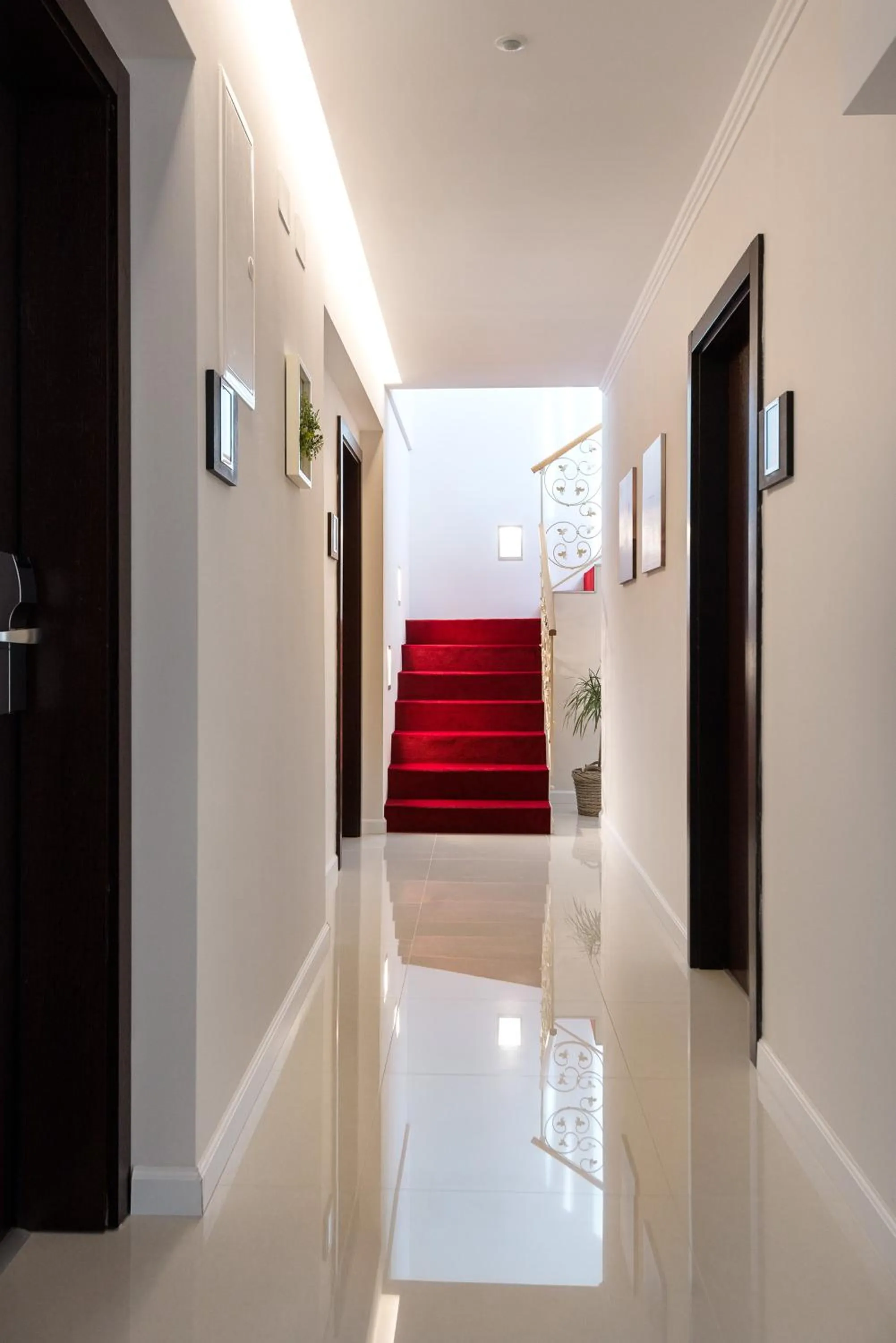 Area and facilities in Madison Luxury Apartments & Rooms