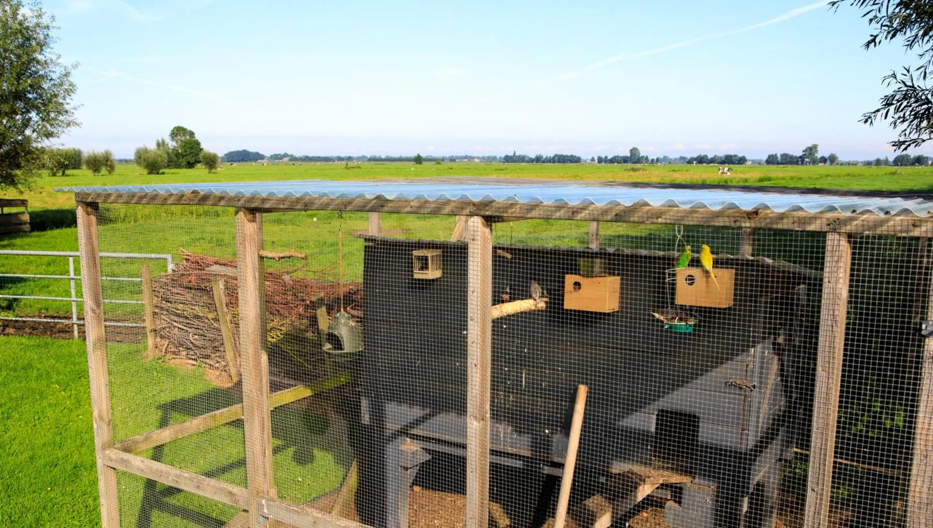 Animals in Het Groene Wout