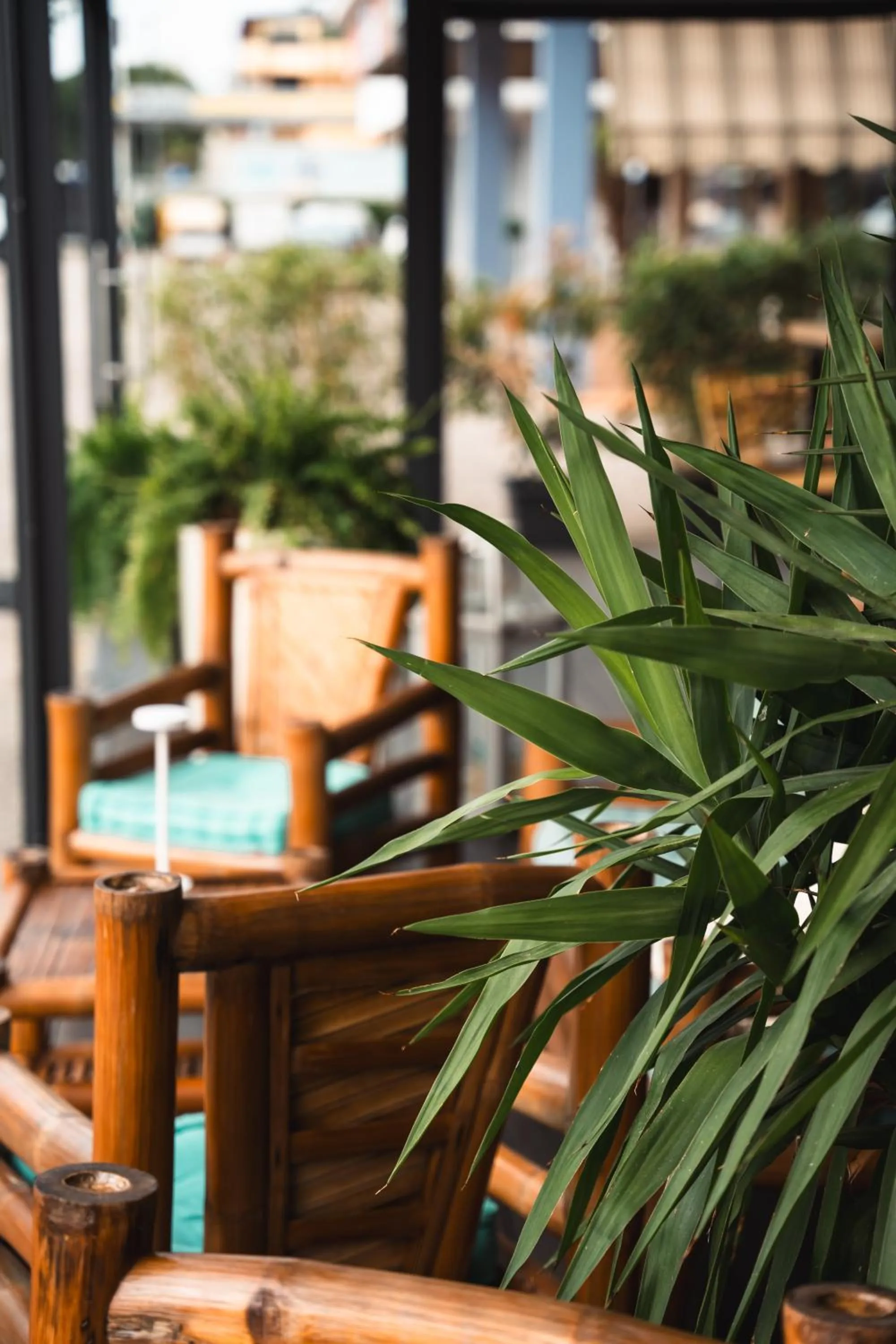 Patio in Hotel Del Corso