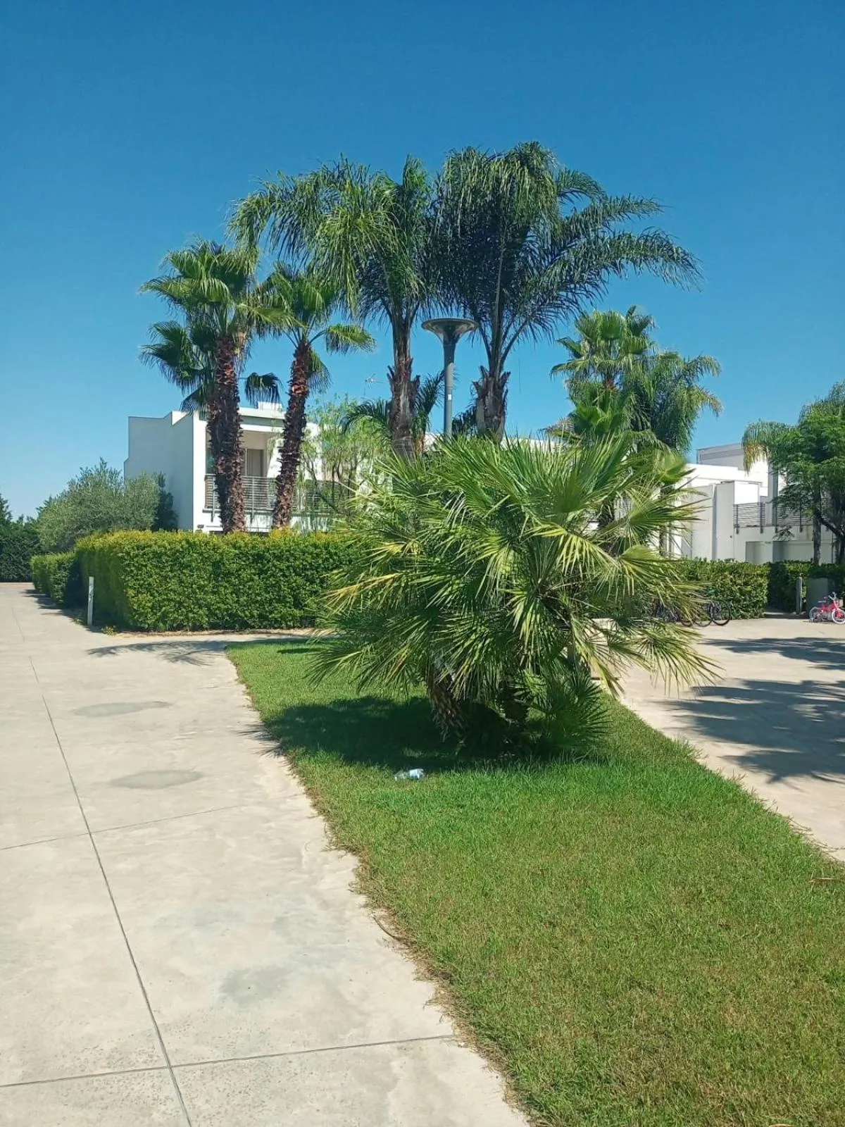 Garden in I GIARDINI DI ZEUS
