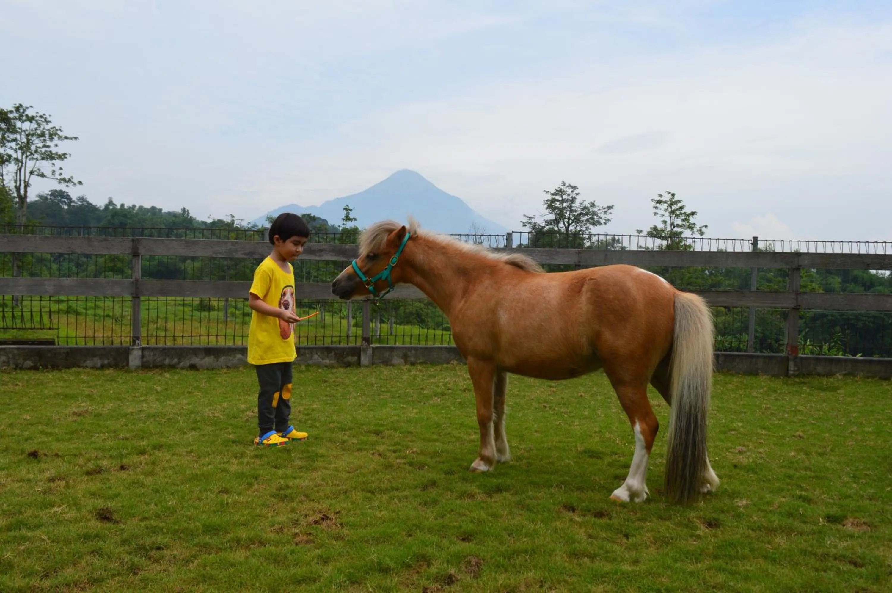 Activities in K Gallery Hotel