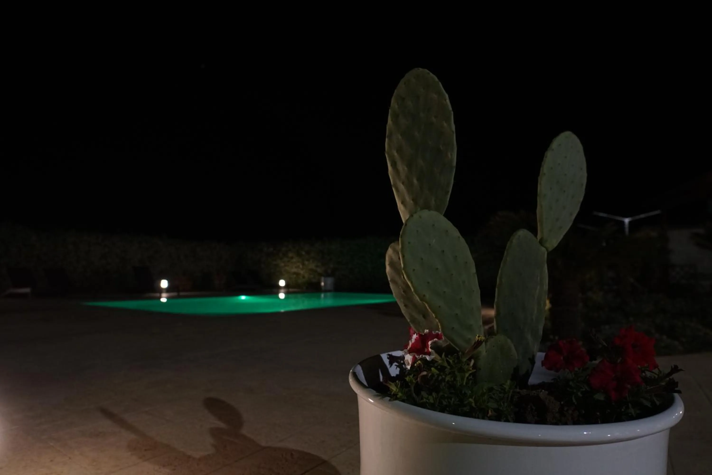 Il Giardino Del Tiglio