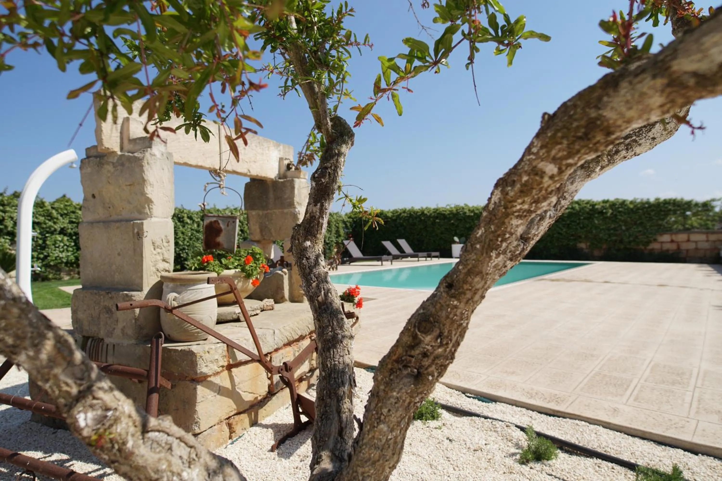 Il Giardino Del Tiglio